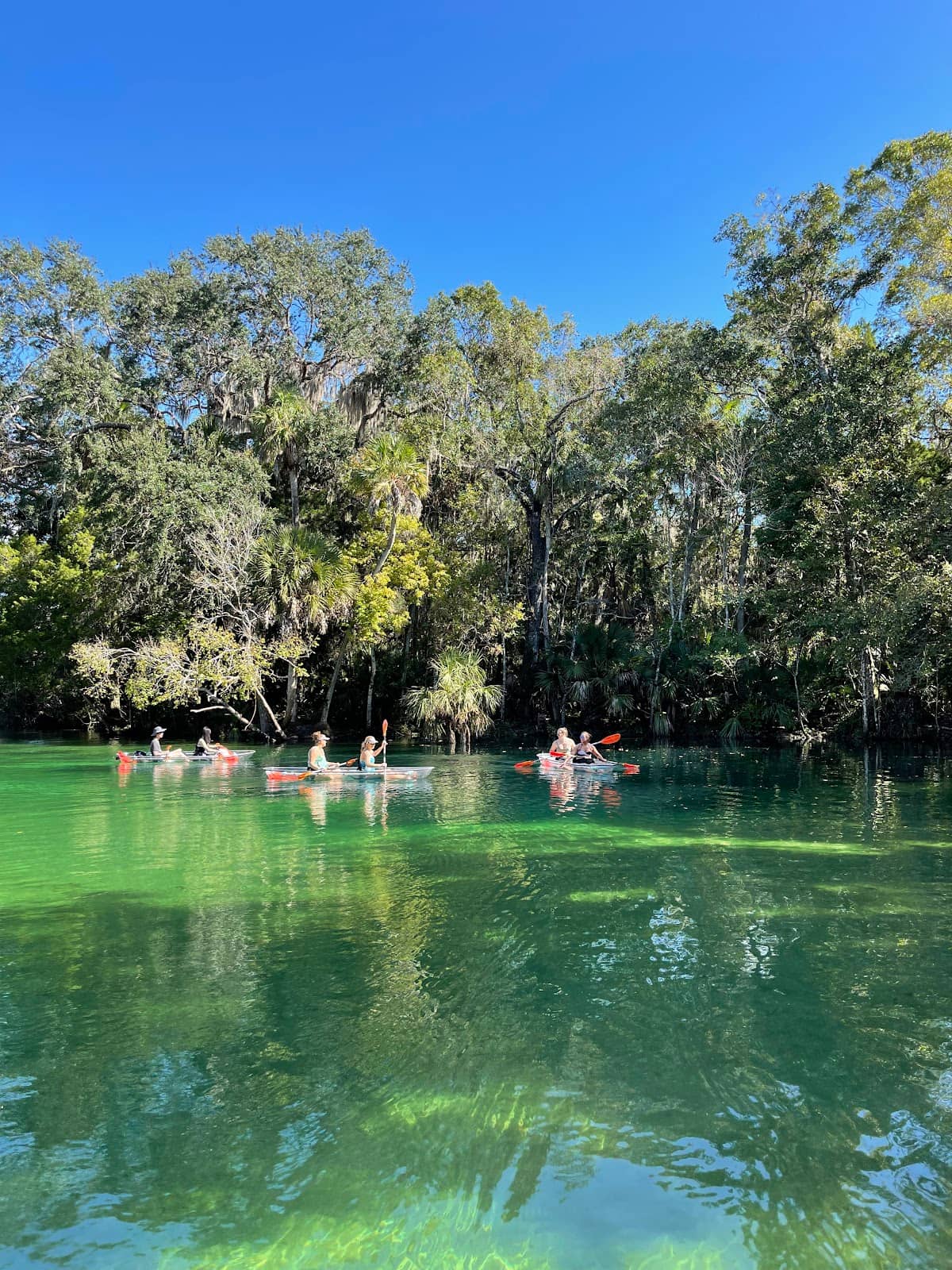 Spring-Fed River Waters