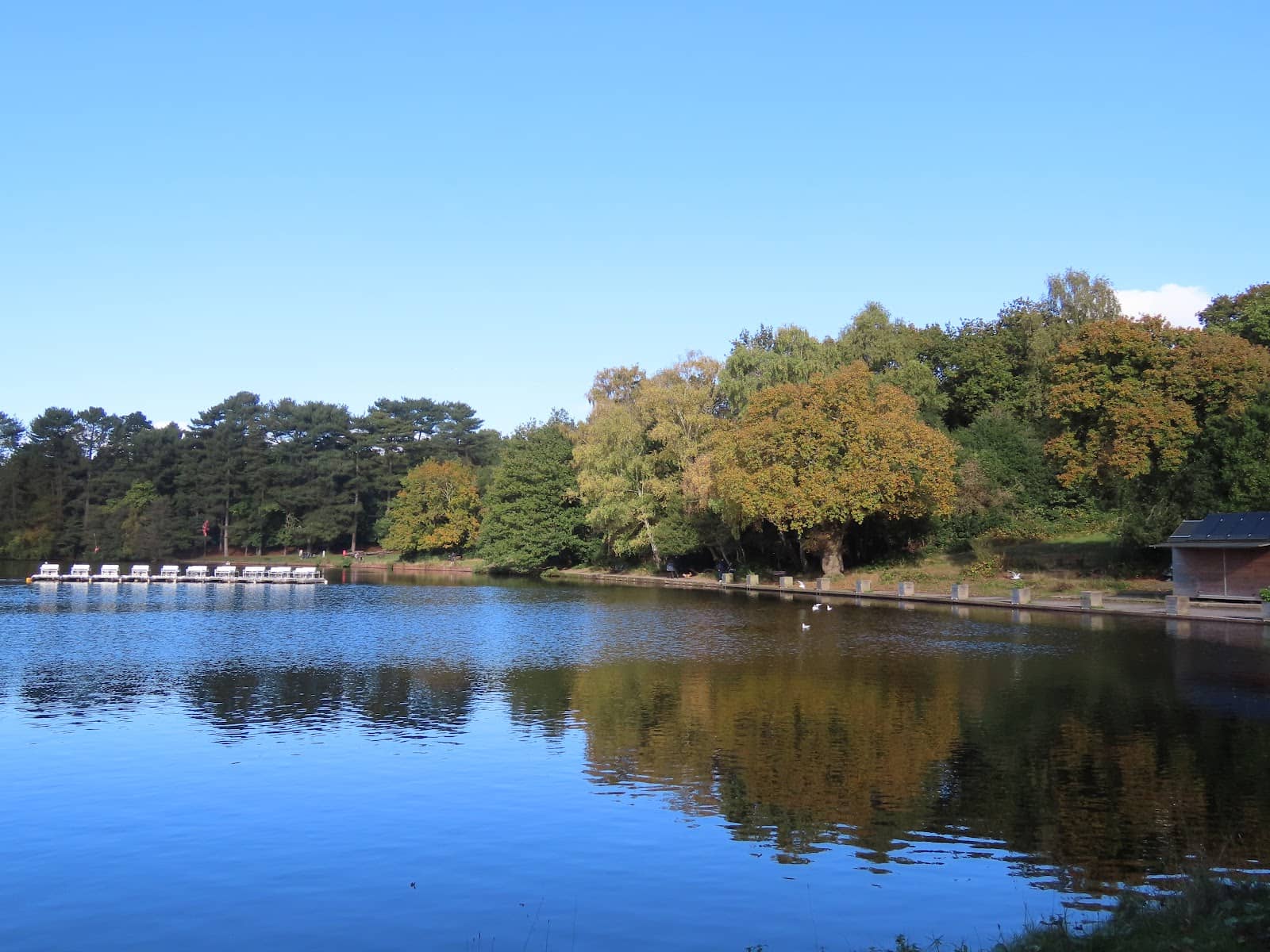 Scenic Walking Trails