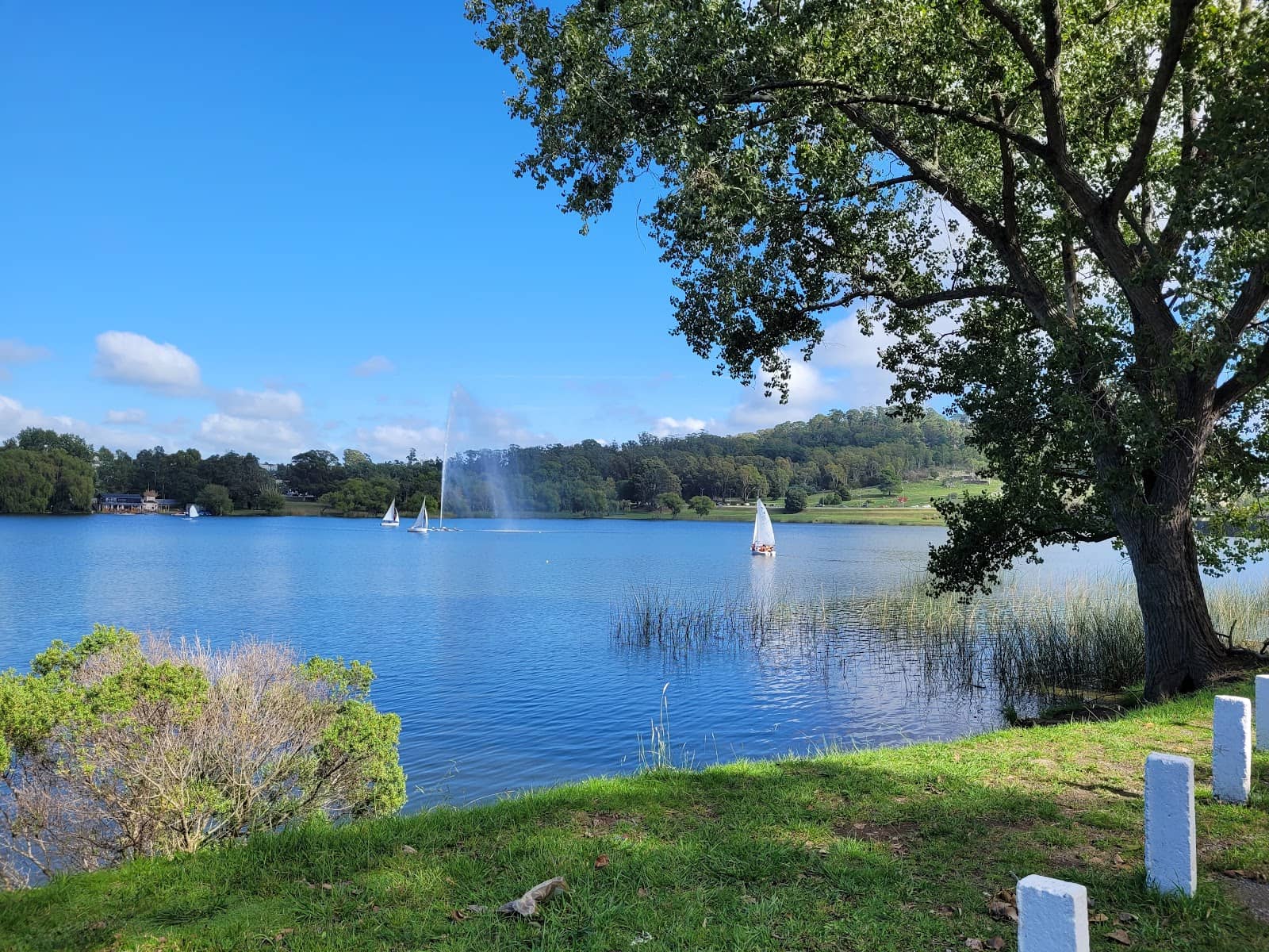 Fitness Trail and Walkways