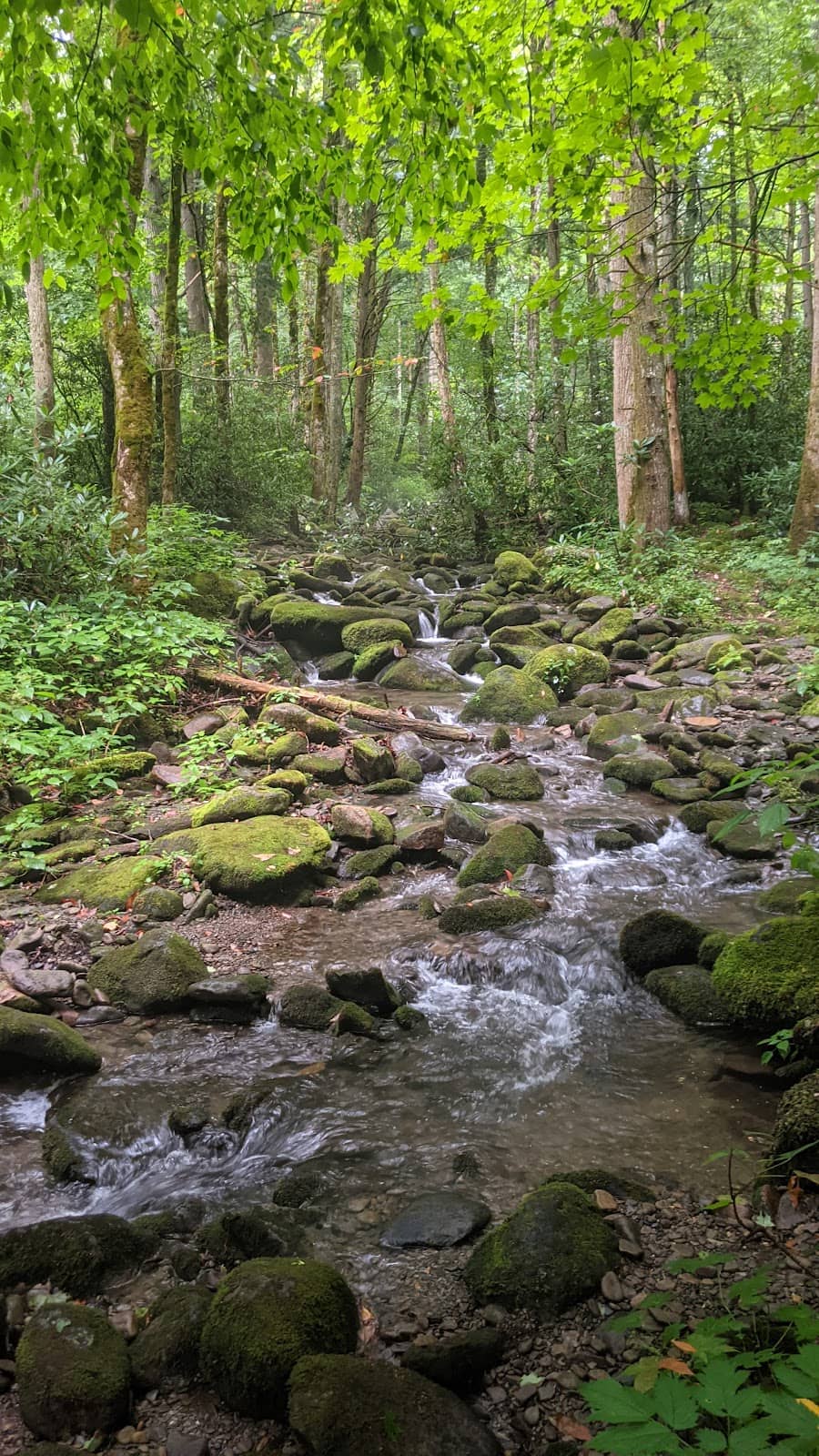 Gateway to Tranquility