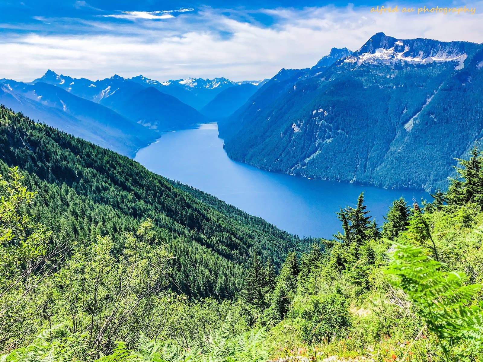 Flora Peak Trail - Image 1