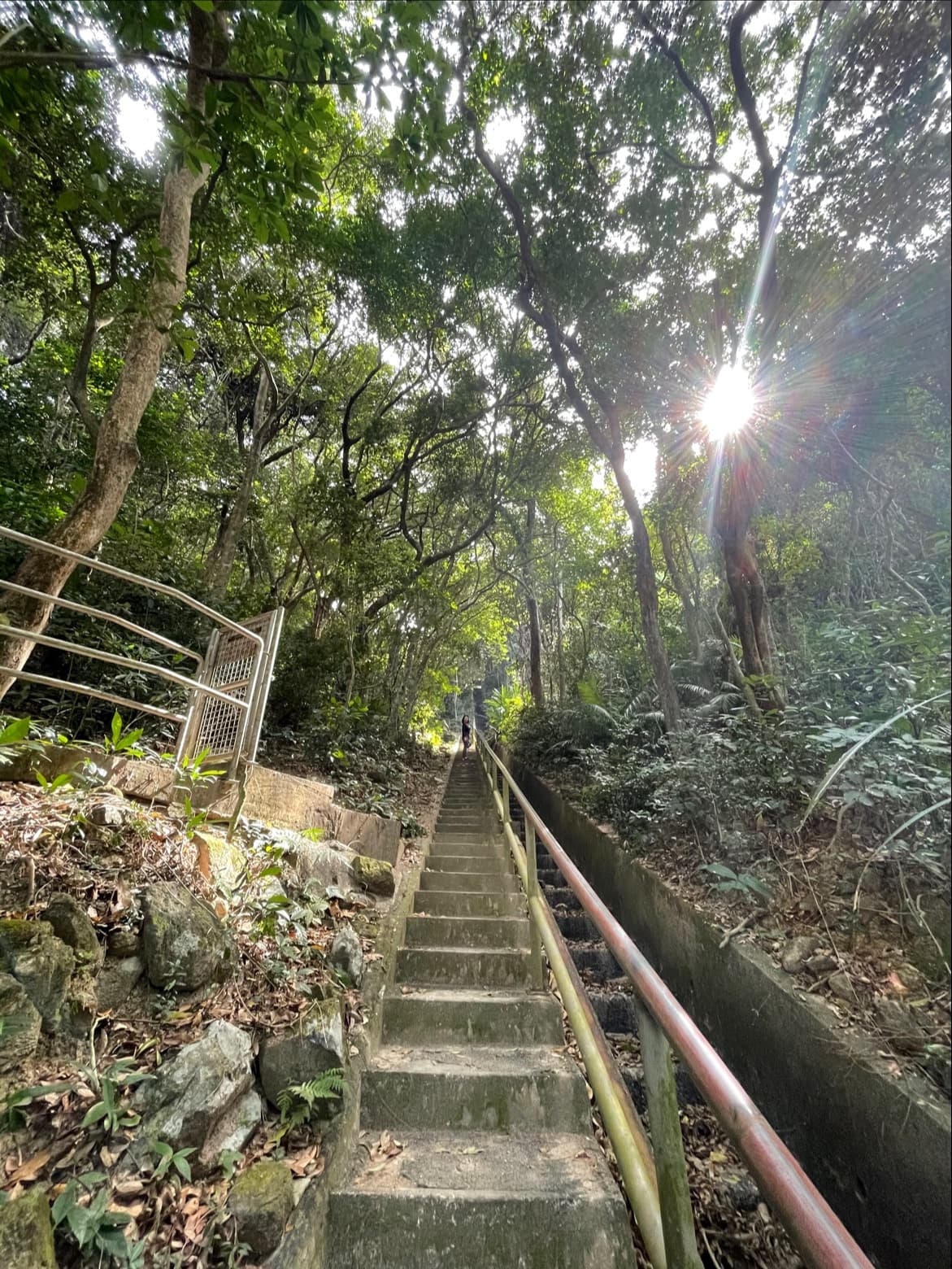 Chai Wan to Big Wave Bay Trail - Image 1