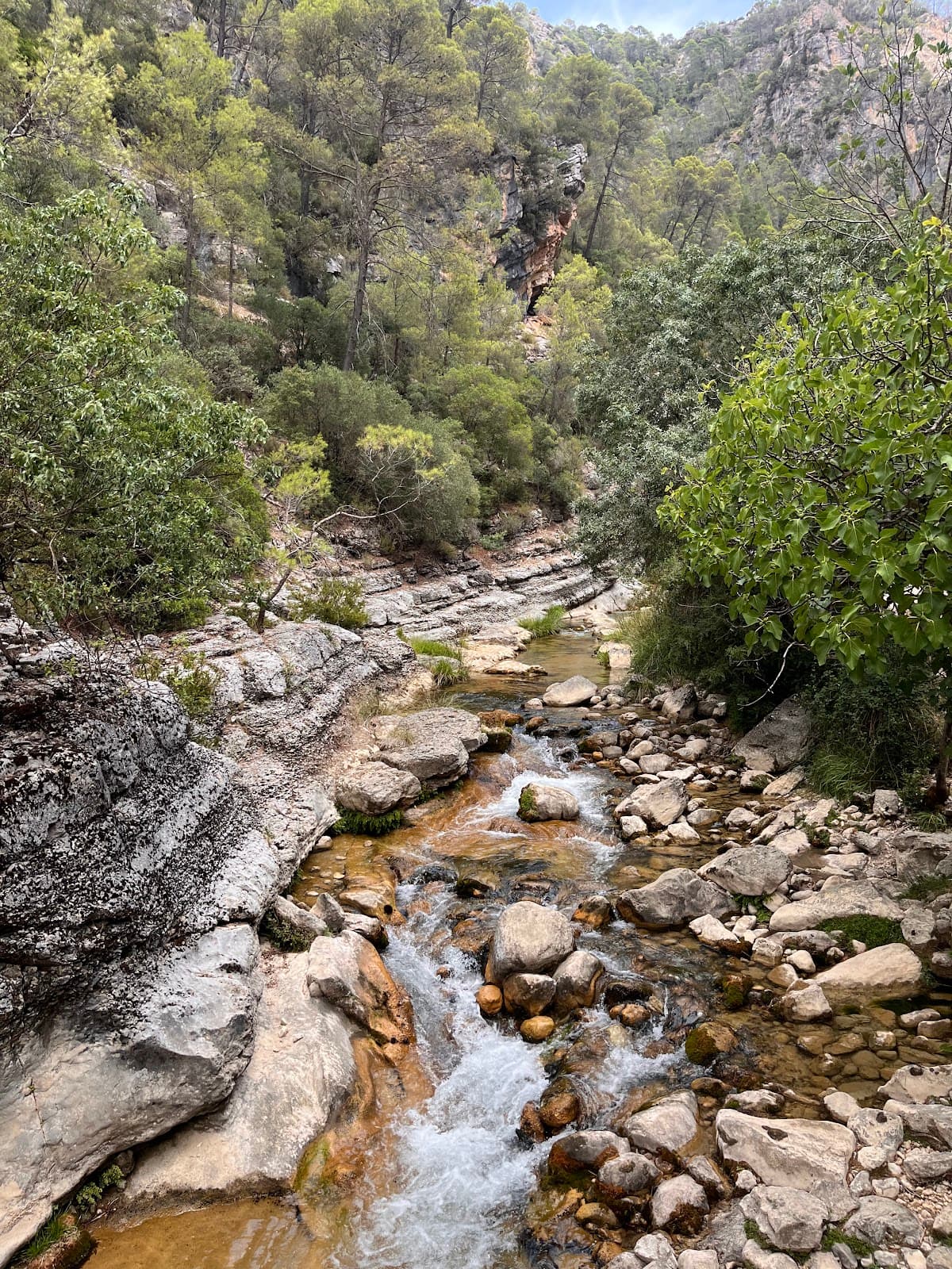 Río Borosa & Cerrada de Elías Trail - Image 1