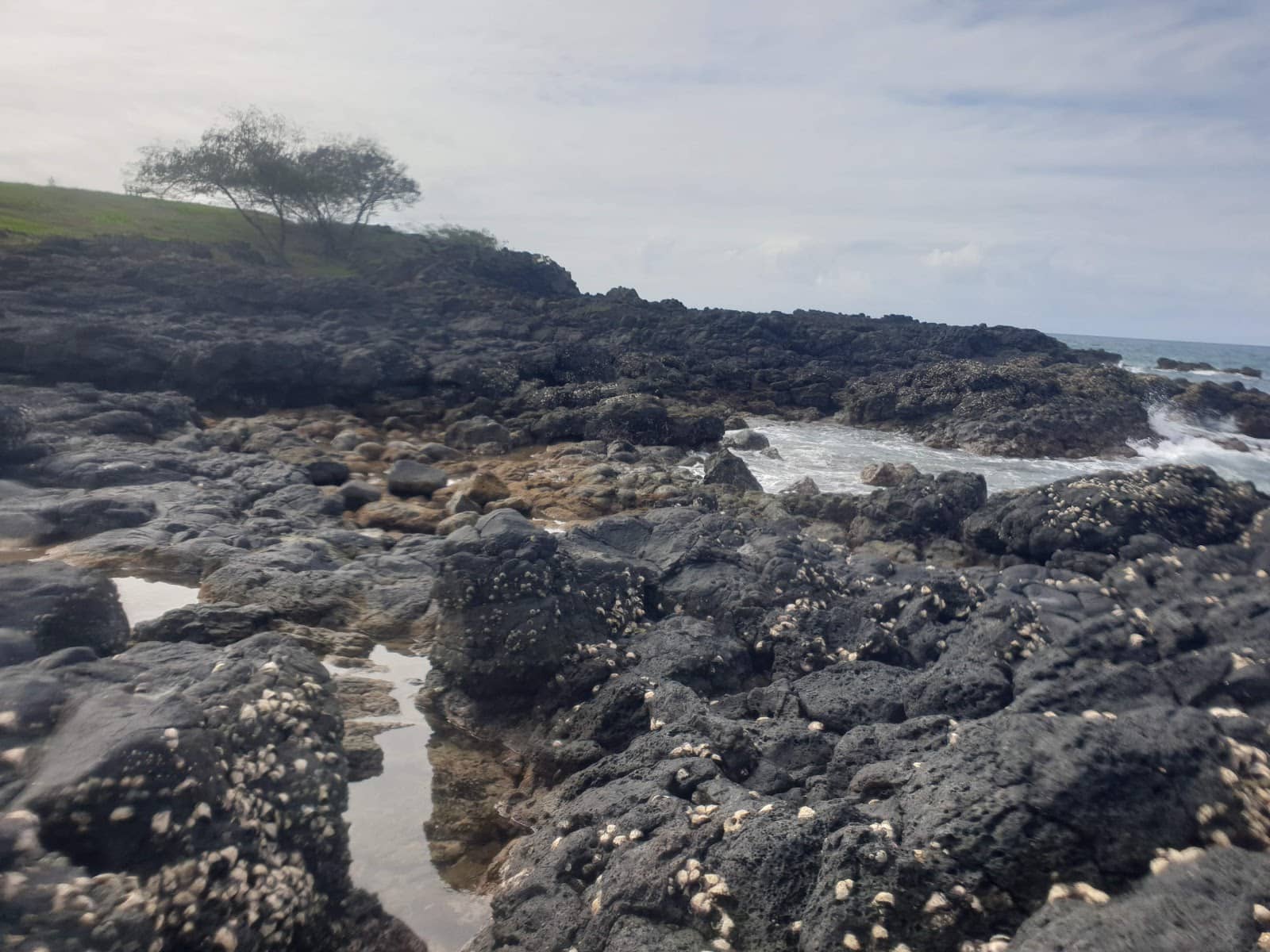 Shore Snorkeling & Diving