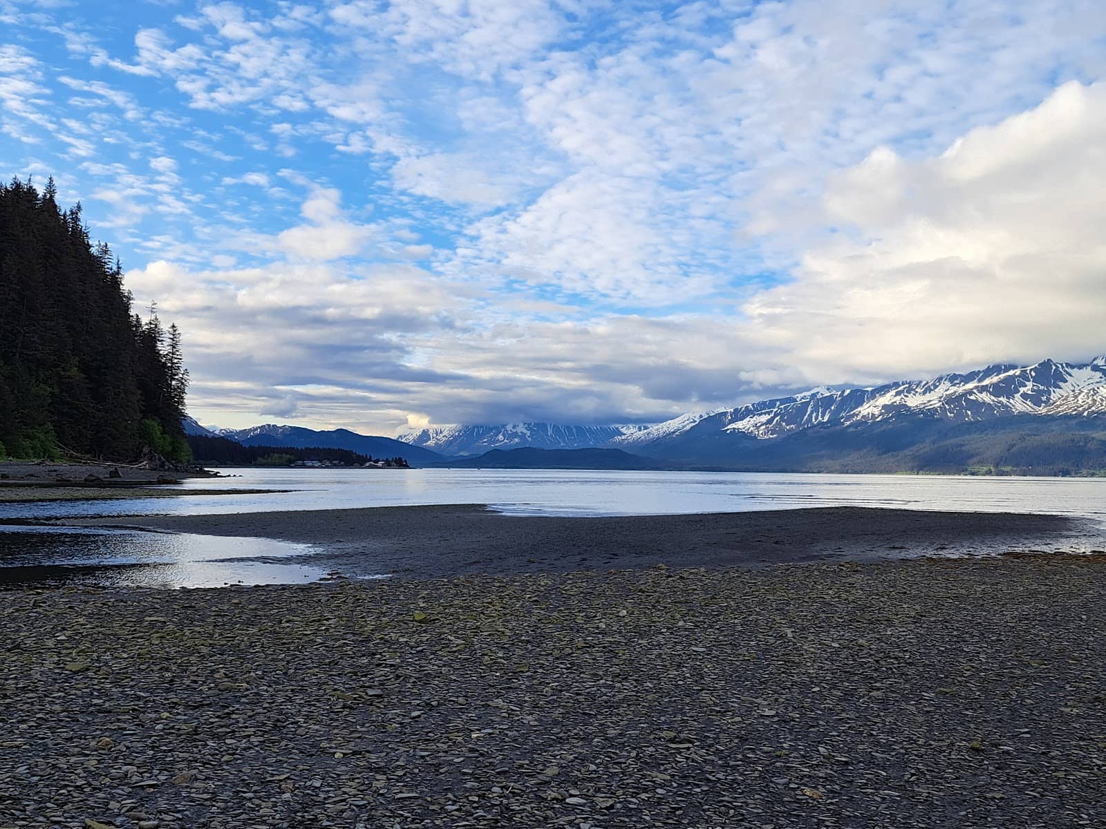Alaskan Rainforest Trails