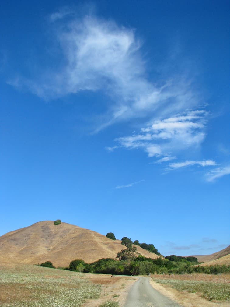 Lynch Canyon Open Space - Image 1