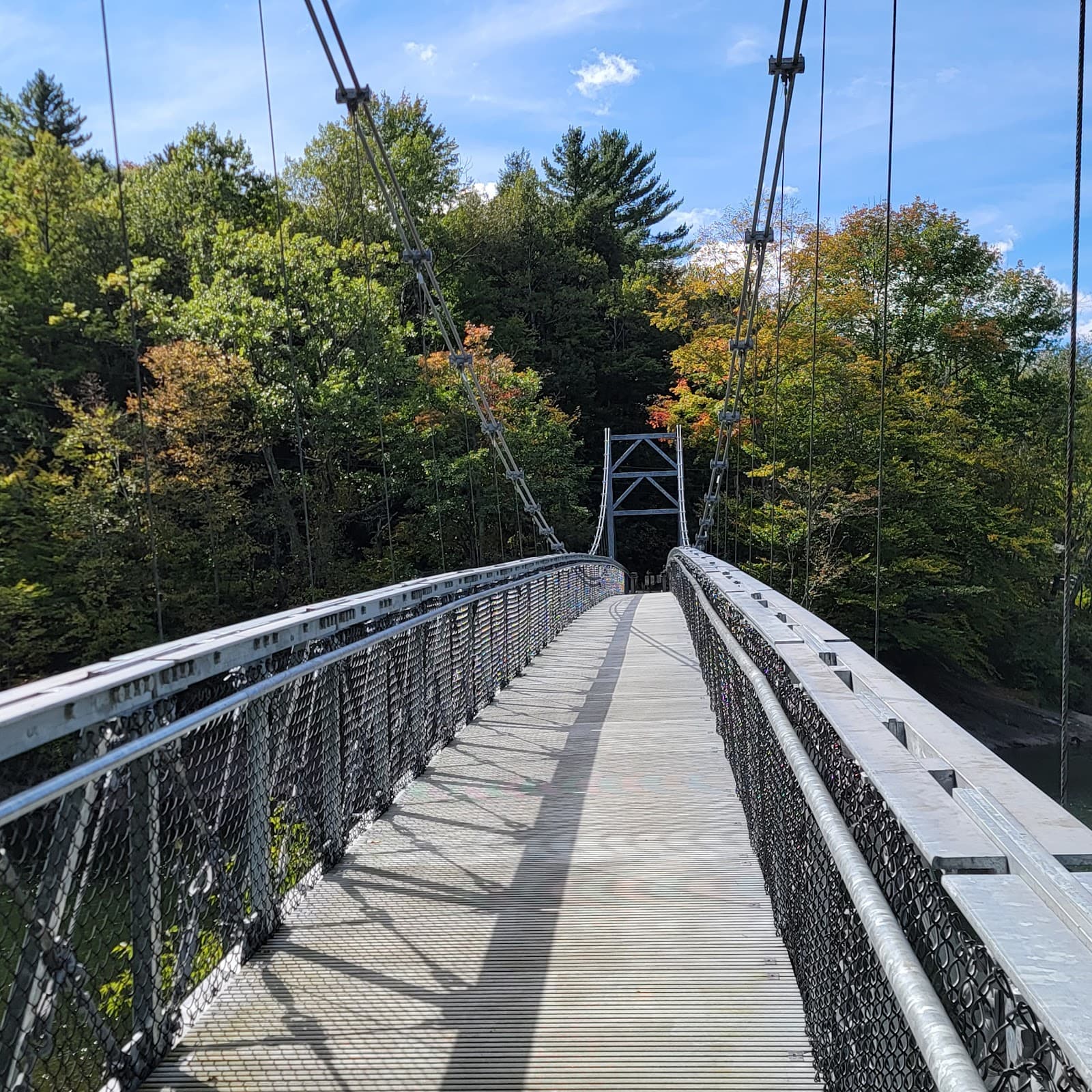 Winooski River Long Trail Footbridge - Image 1