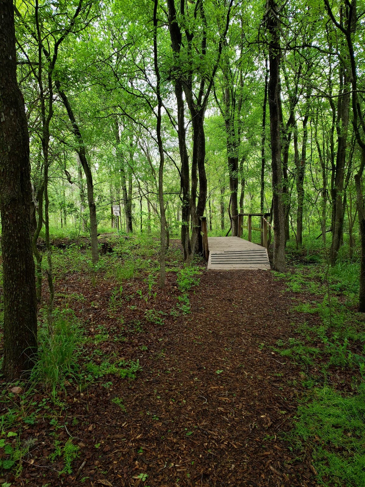 Headwaters Sanctuary Blue Hole - Image 1