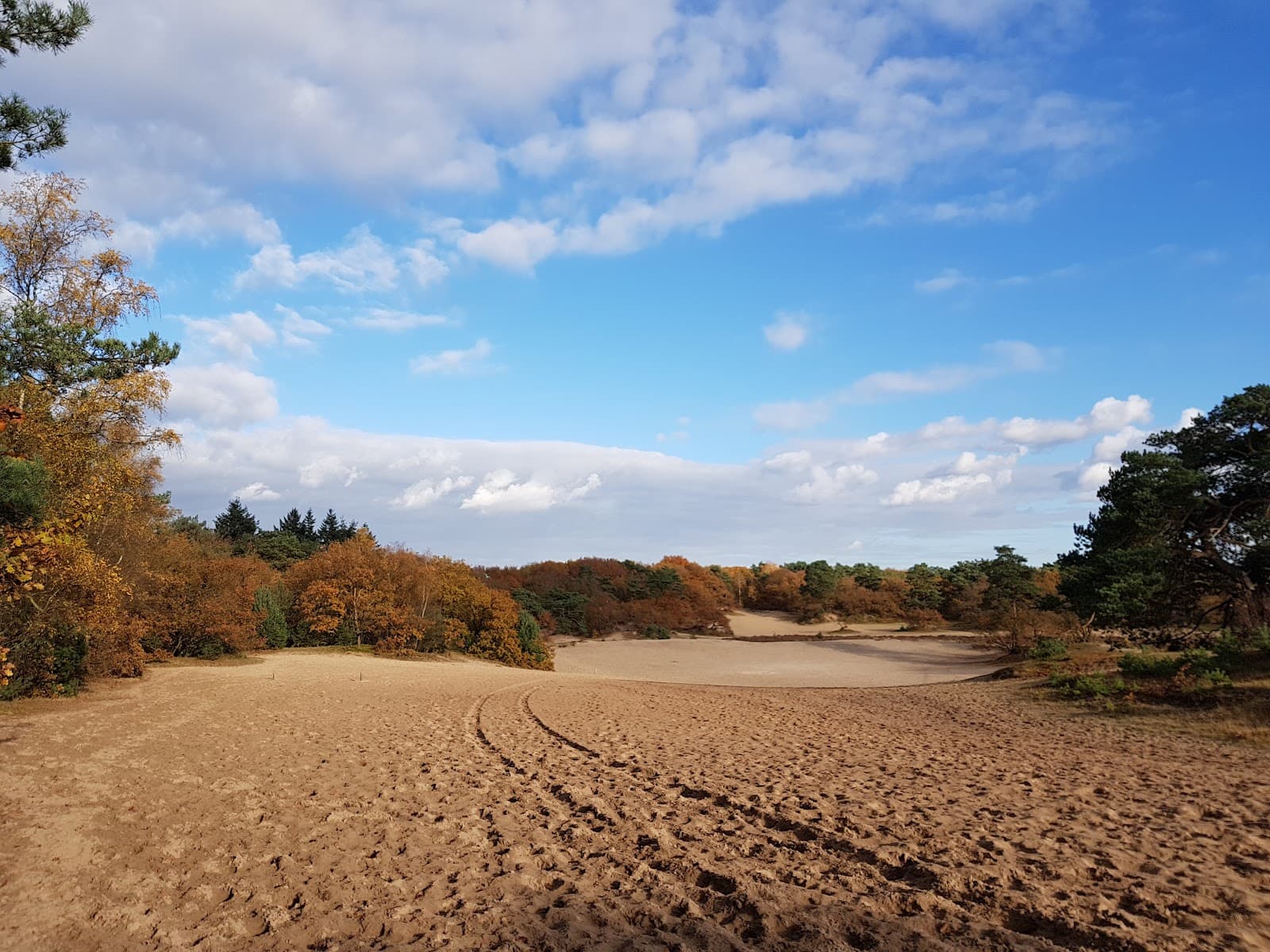 Korte Duinen (Soest) - Image 1