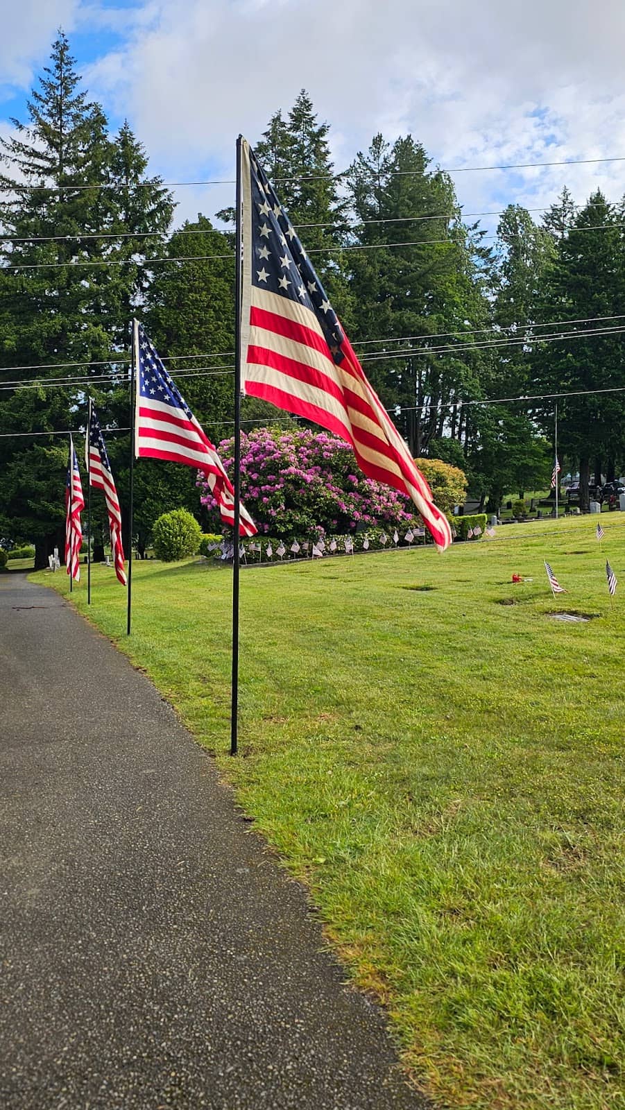 Historical Family Plots