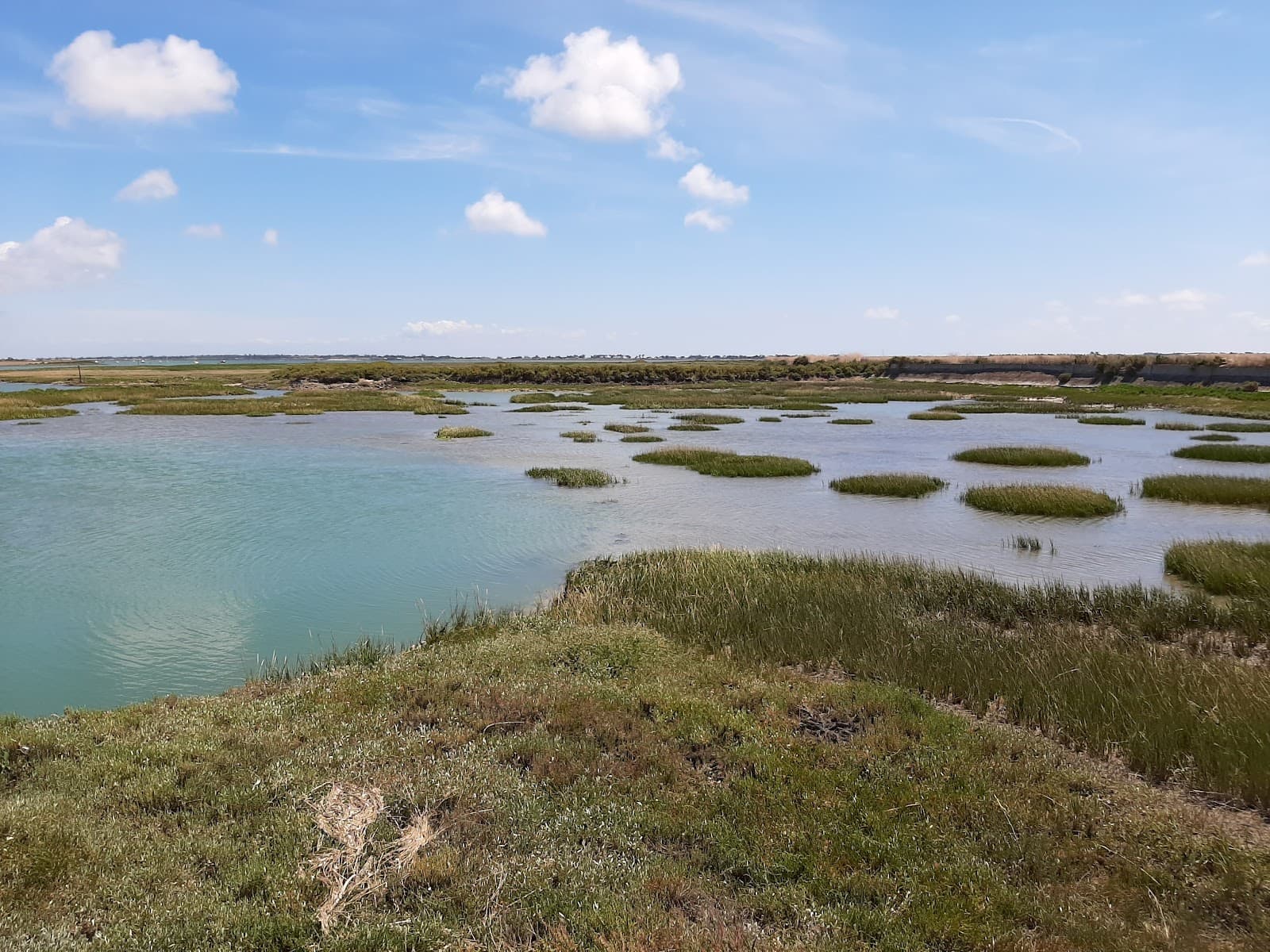 Réserve naturelle Lilleau des Niges - Image 1