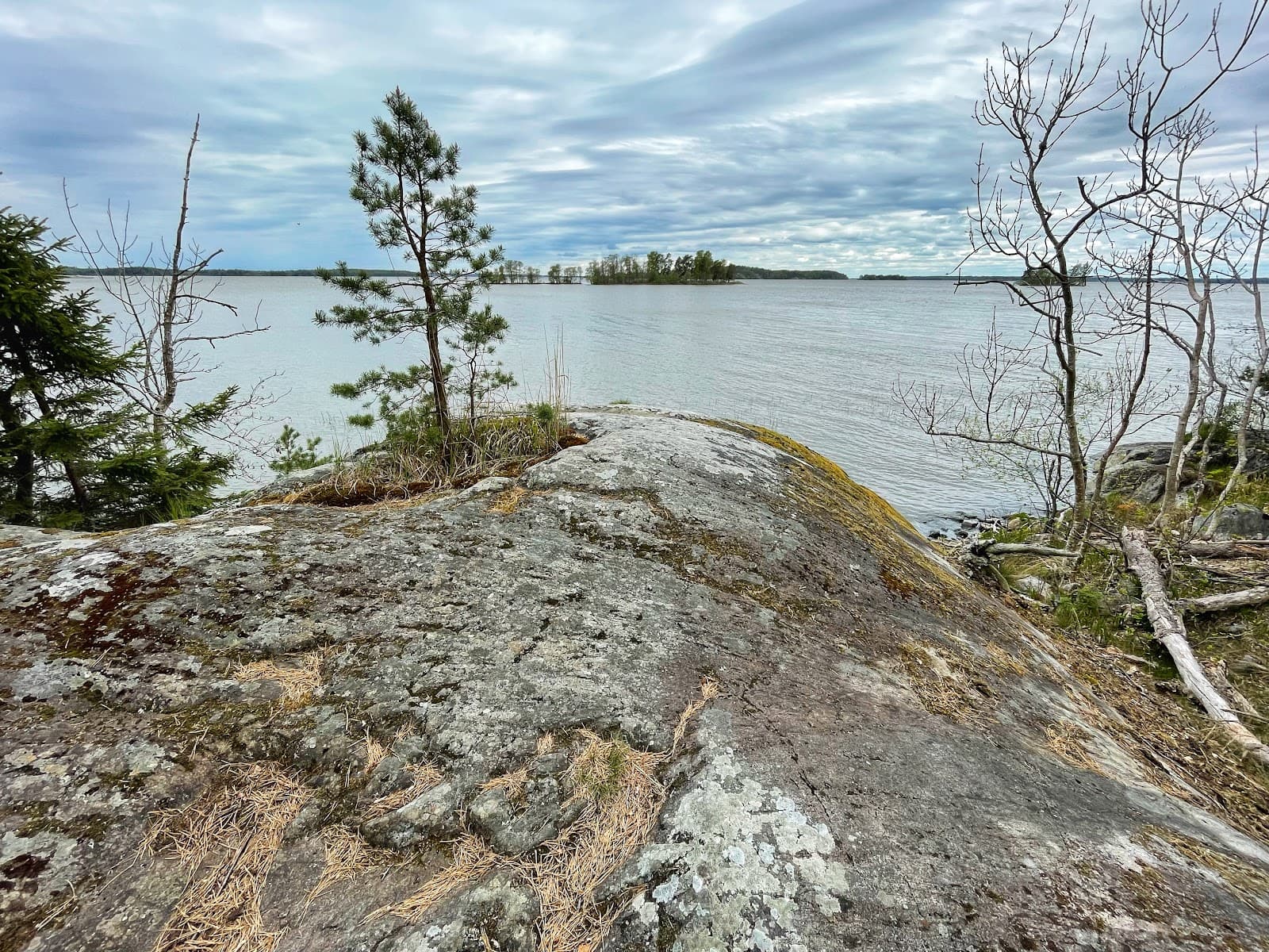 Ängsö Nature Reserve - Image 1