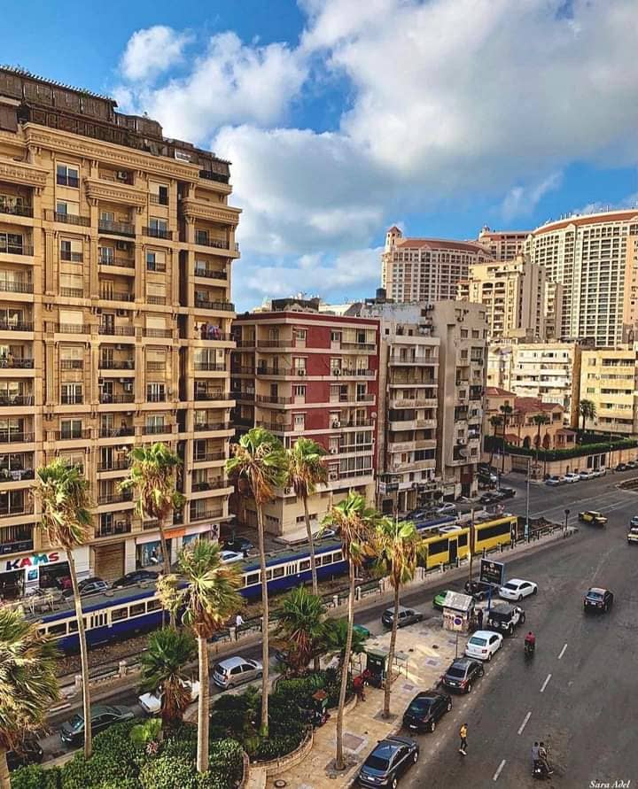 Alexandria's Coastal Charm