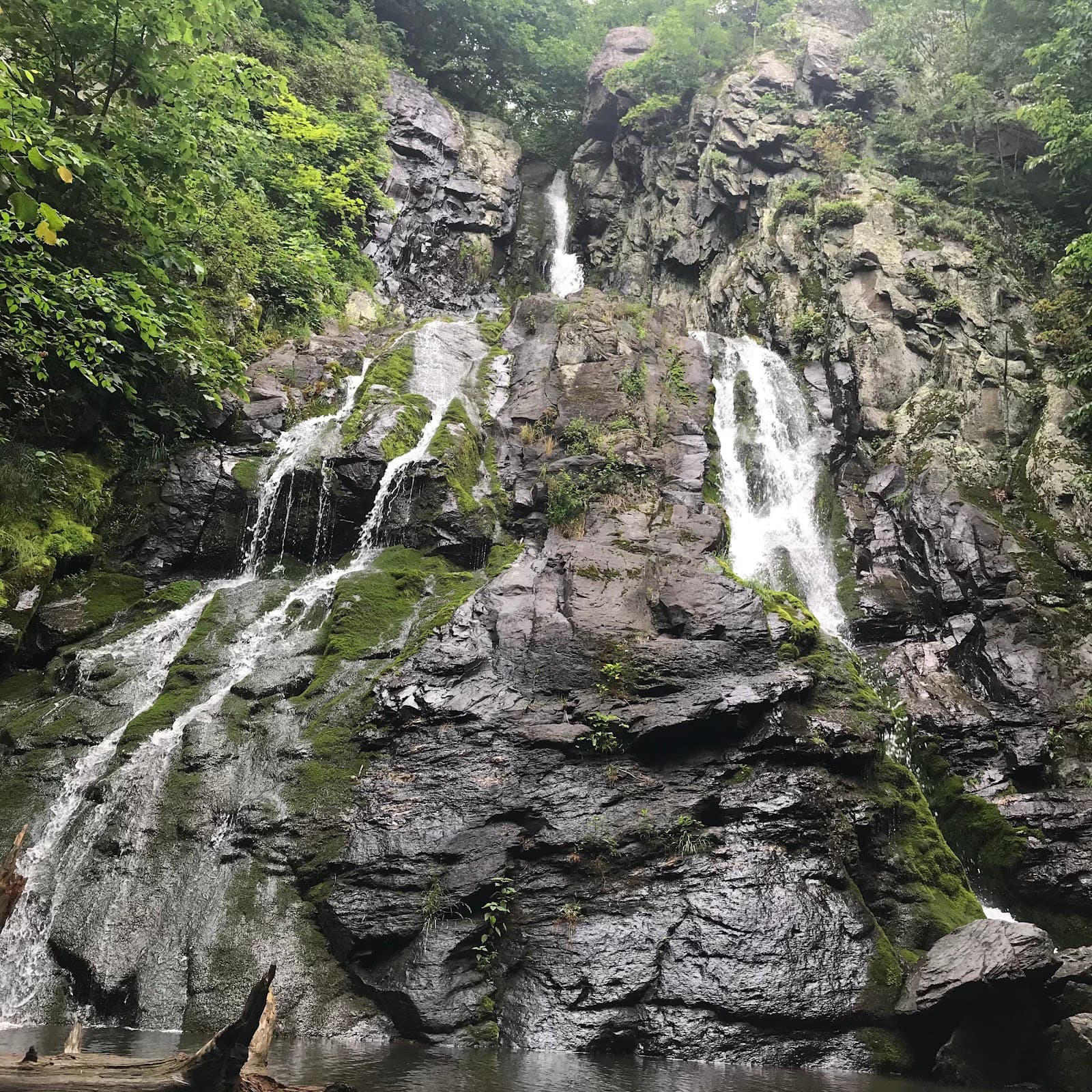 South River Falls - Image 1