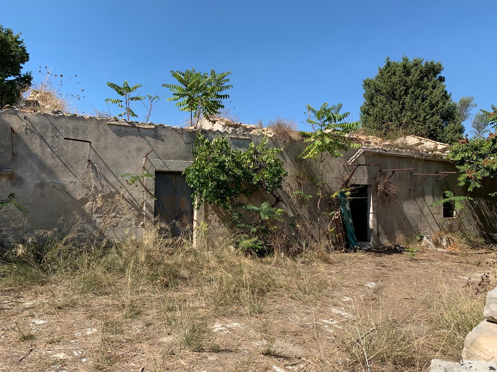 Carmine Church - Image 1