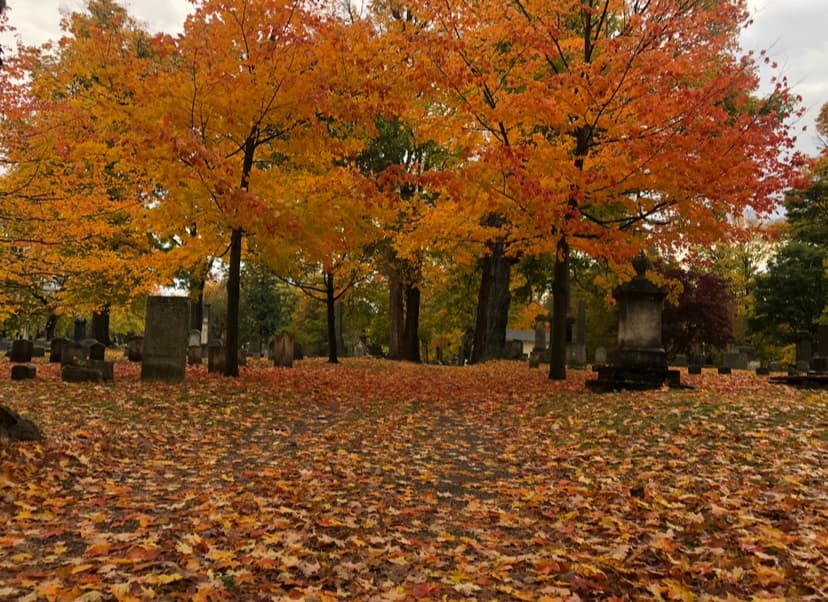 Batavia Cemetery - Image 1