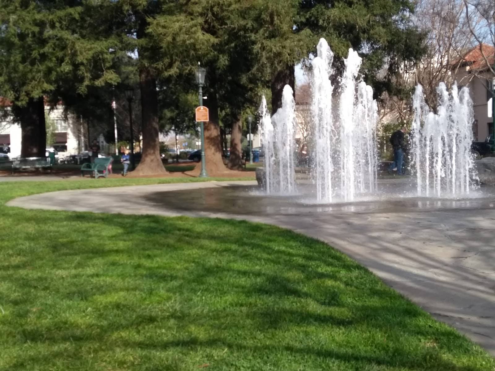 Los Gatos Sunday Farmer's Market