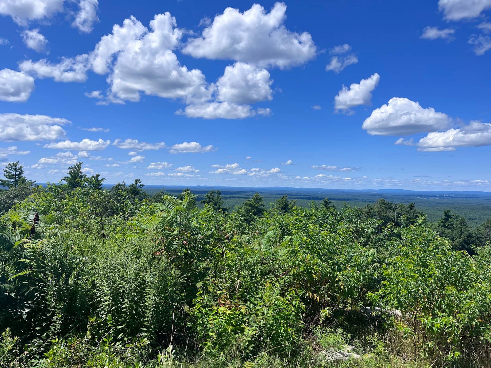 Diverse Hiking Trails