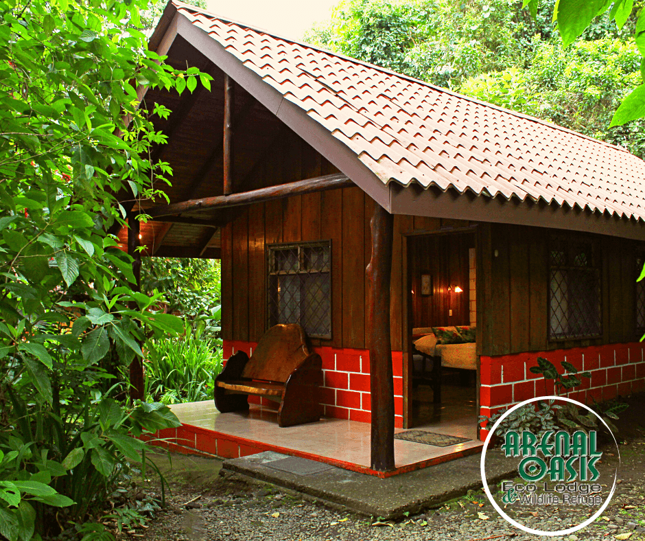 Arenal Oasis Night Walk - Image 1