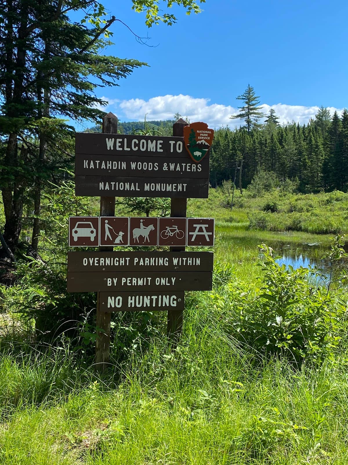 Wildlife Spotting Opportunities
