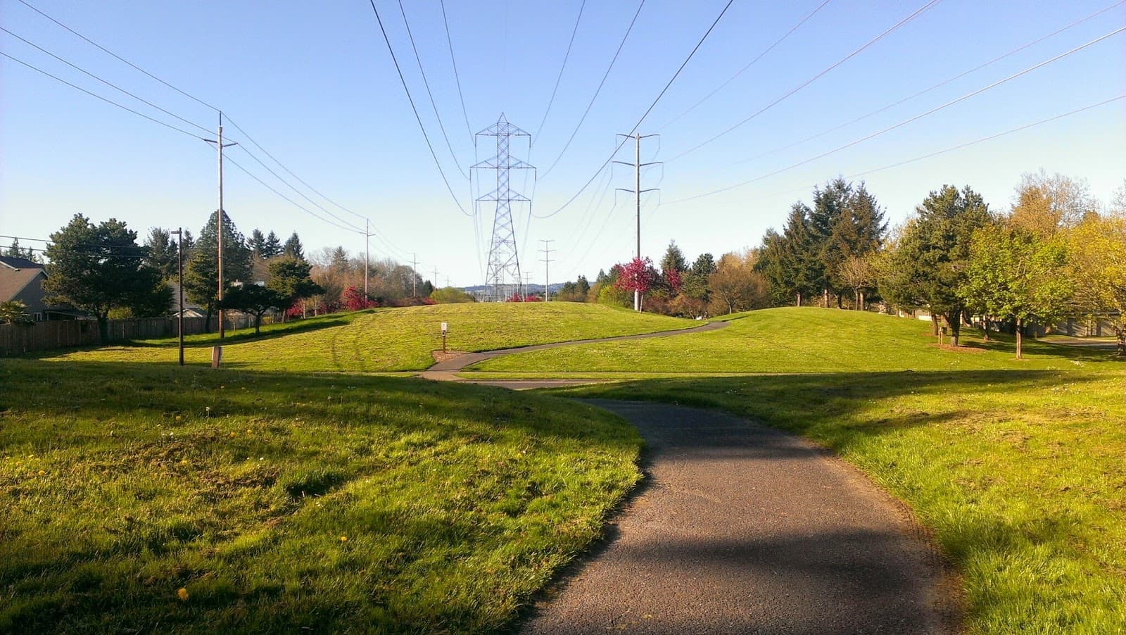 Waterhouse Trail - Image 1