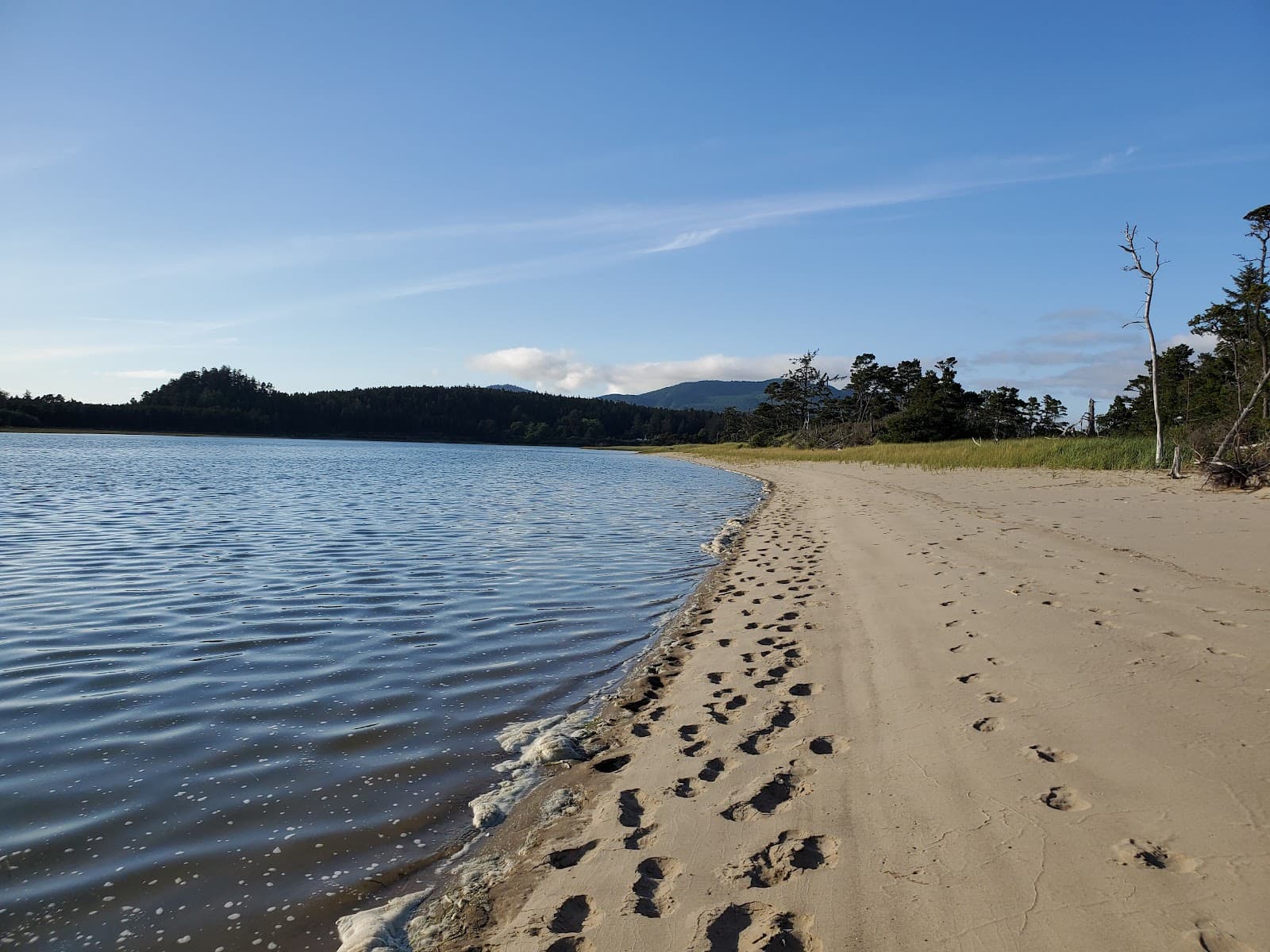 Clay Myers State Natural Area at Whalen Island - Image 1