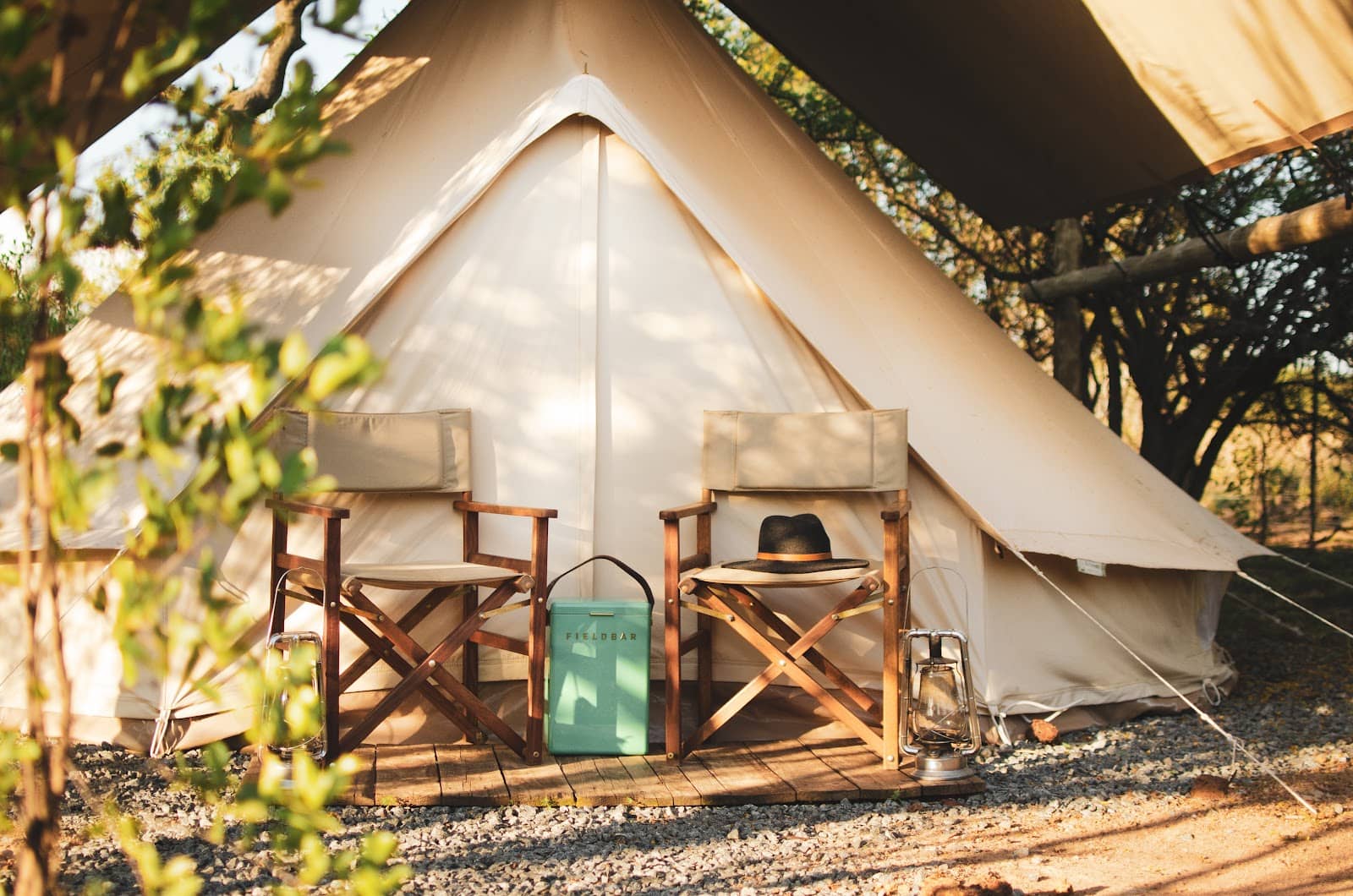 Thrilling Big 5 Game Drives