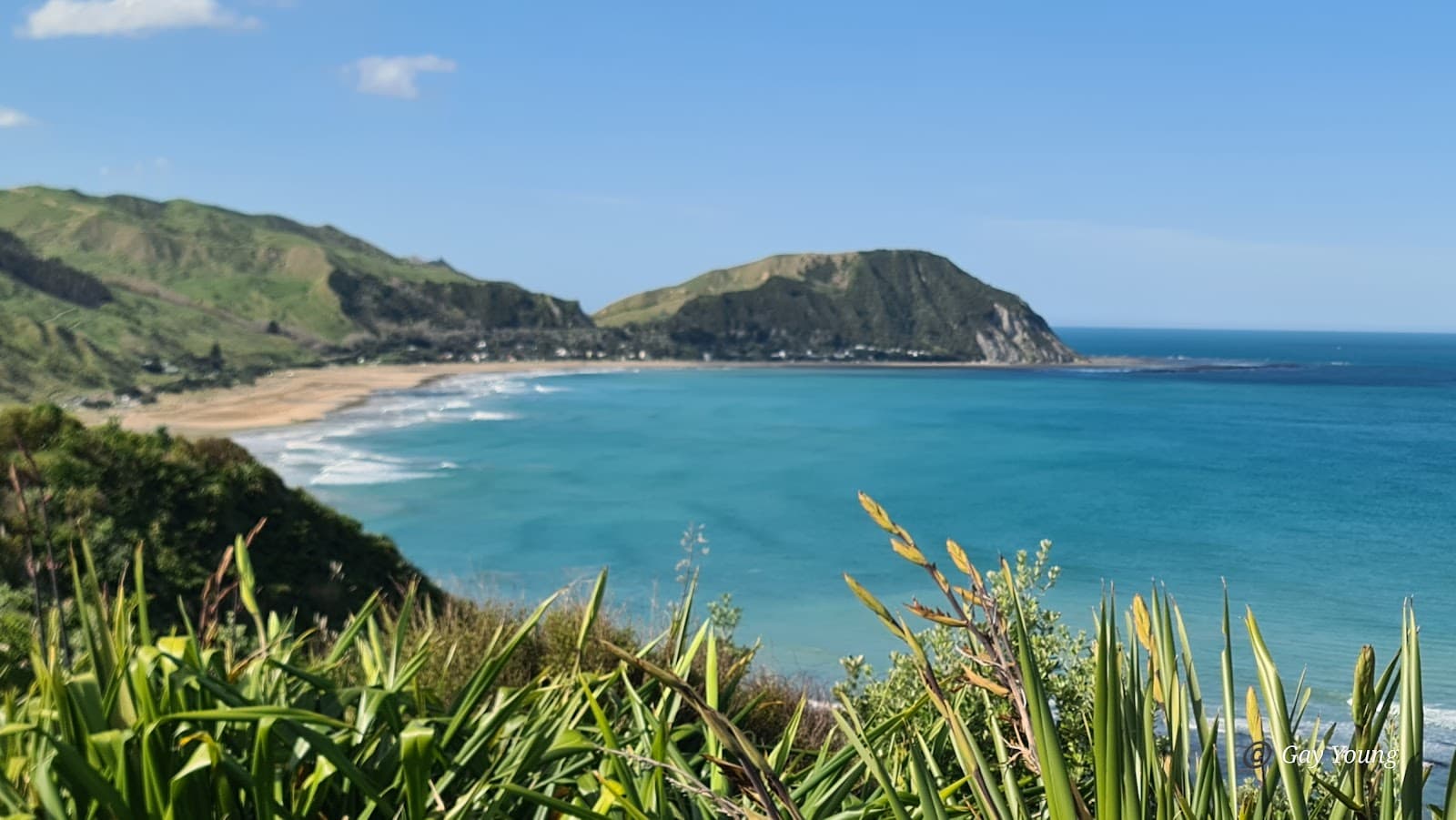 Makorori Headland Walk Gisborne - Image 1