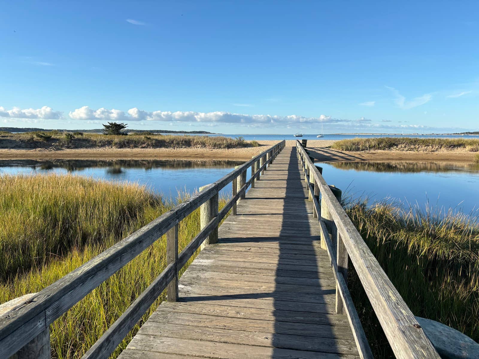 Scenic Boardwalk Access