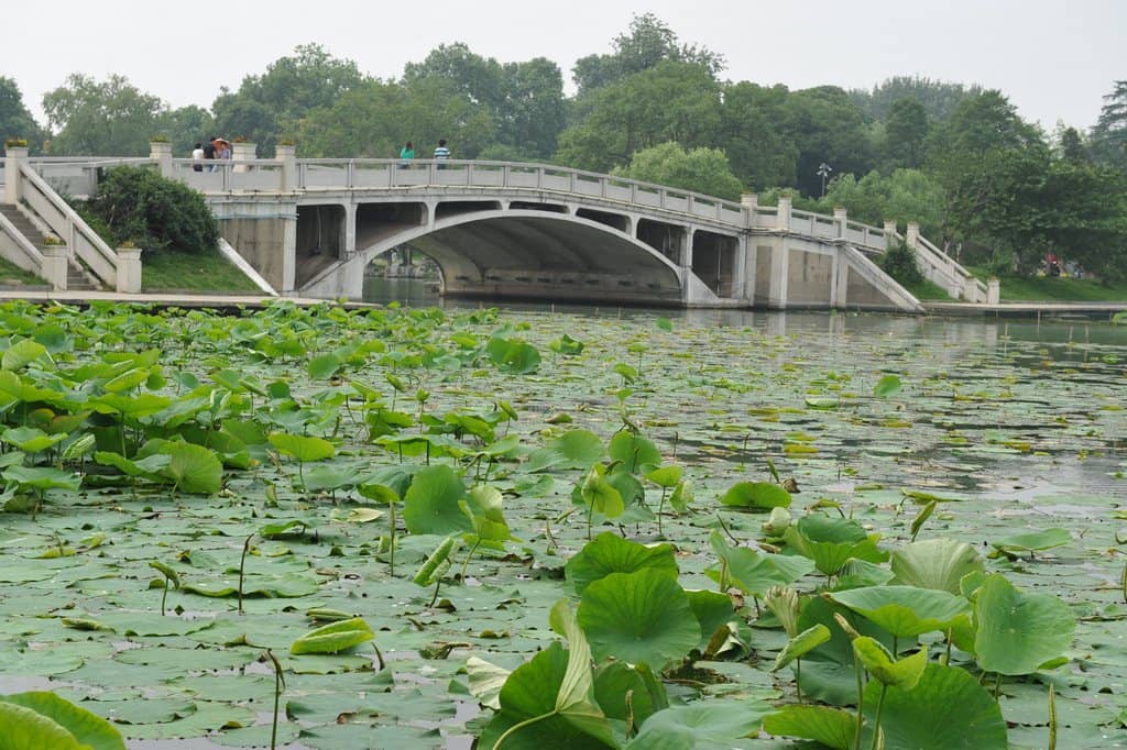Sunset Over the Lake