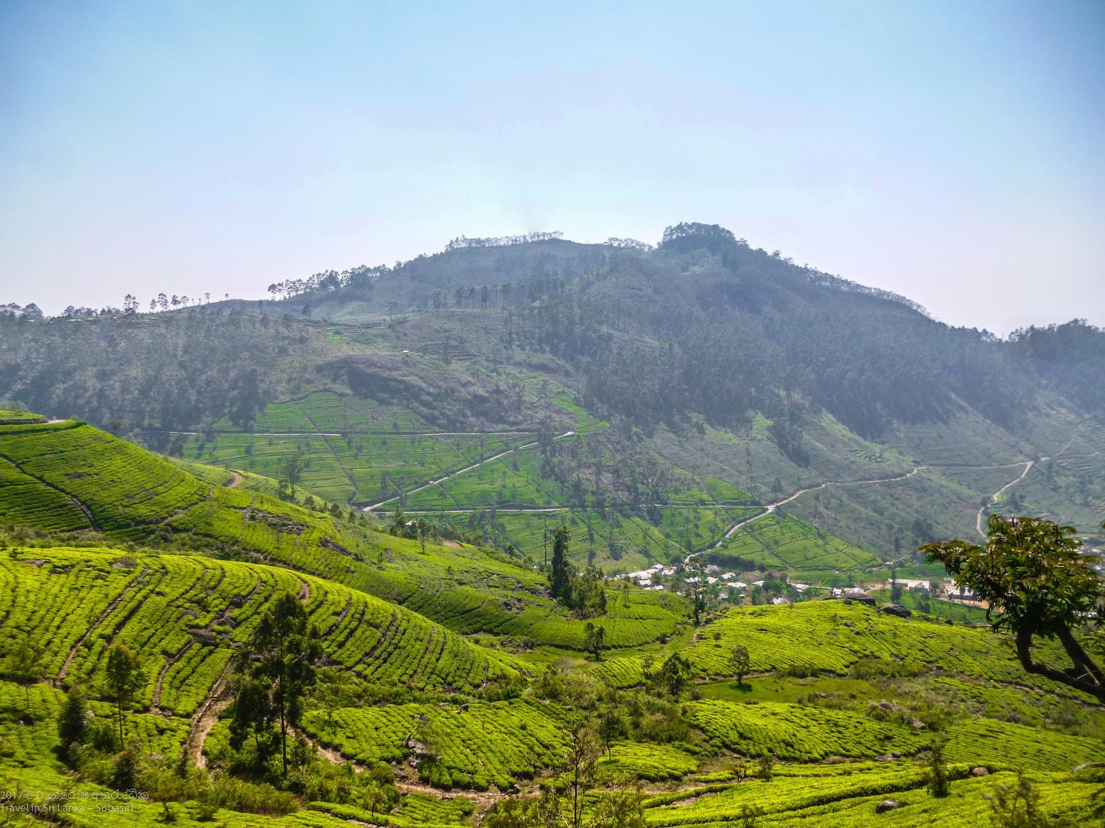 Lipton's Seat Sri Lanka - Image 1