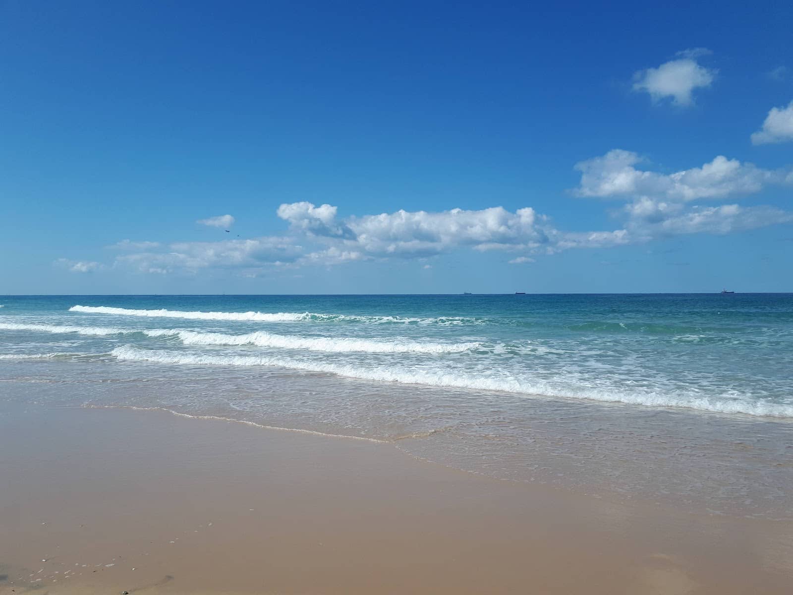 Family-Friendly Amenities