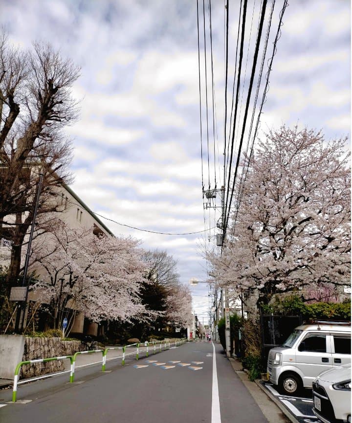 Komagome Tokyo - Image 1
