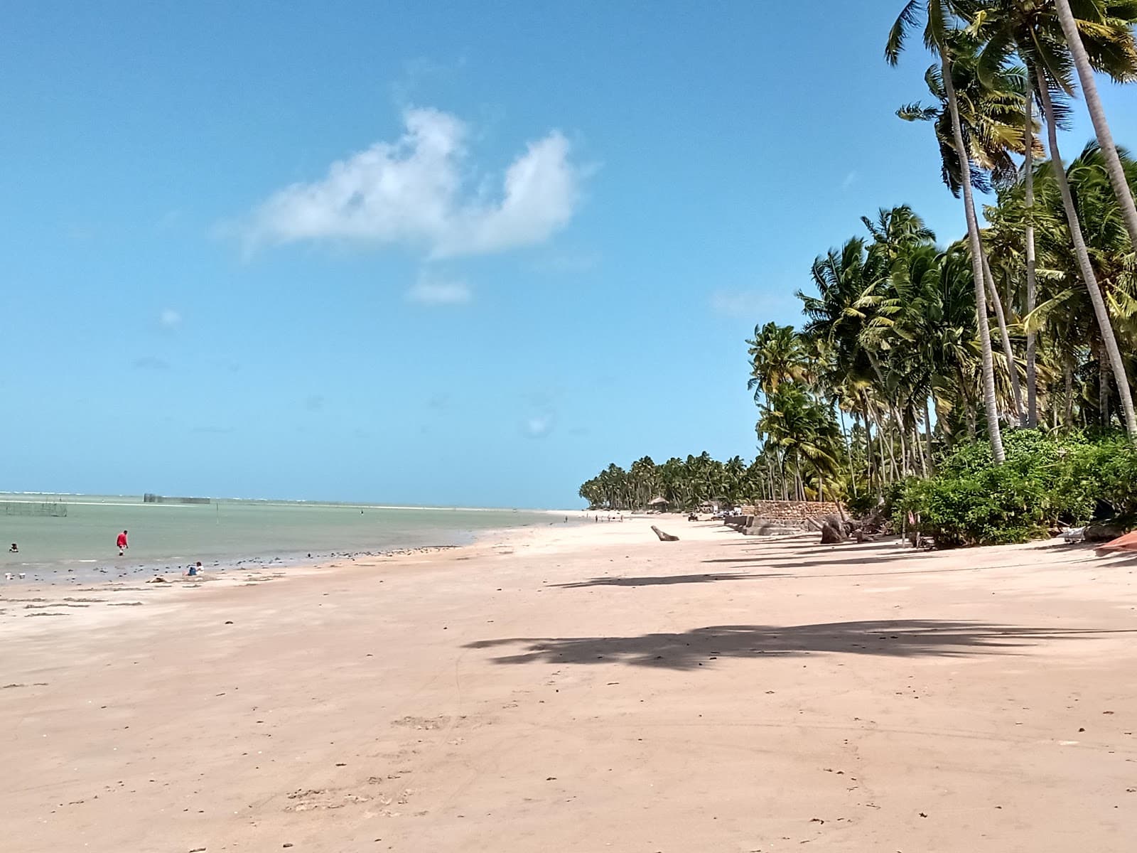 Ponta do Mangue Beach - Image 1