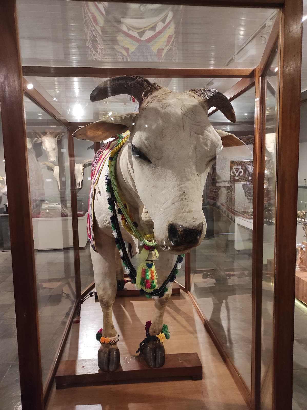 Museu do Zebu Uberaba - Image 1