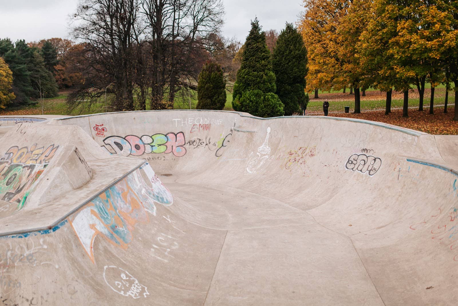 Evening Illumination