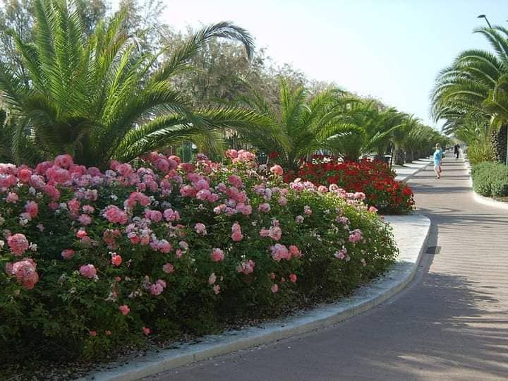 Charming Coastal Towns