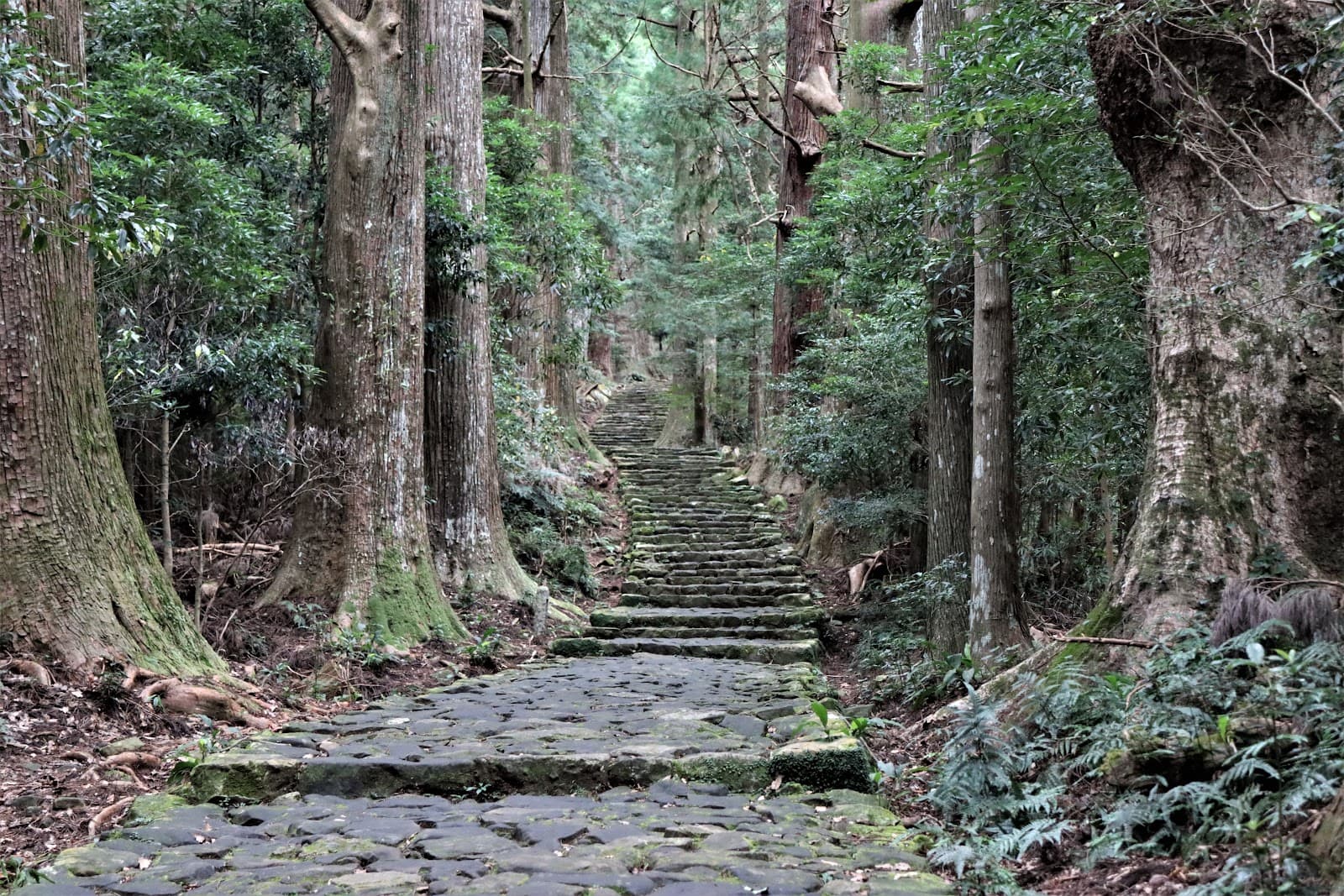 Daimonzaka Slope - Image 1