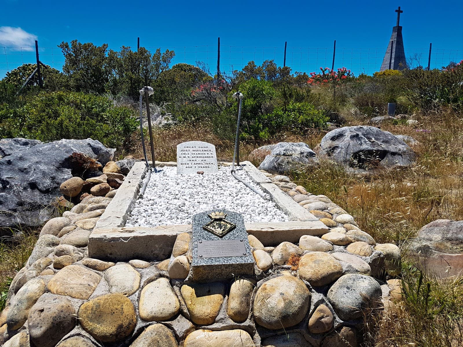 Just Nuisance Grave and Viewpoint - Image 1