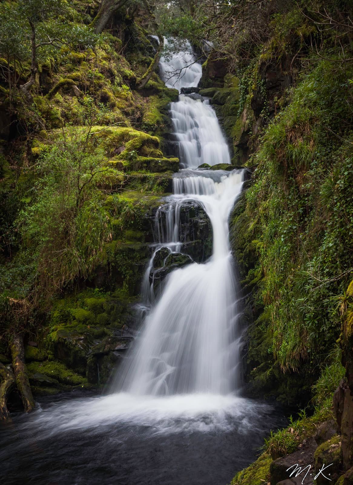 Tomies Wood - Image 1