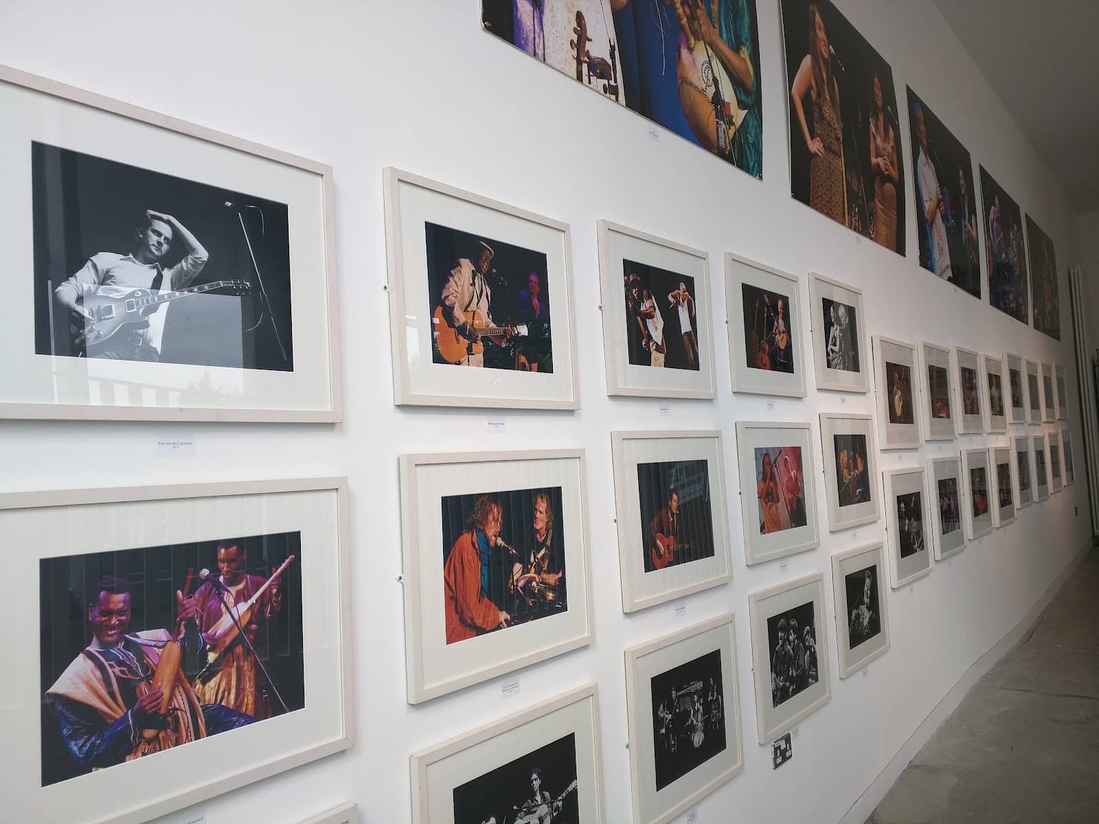 Film Club Screenings