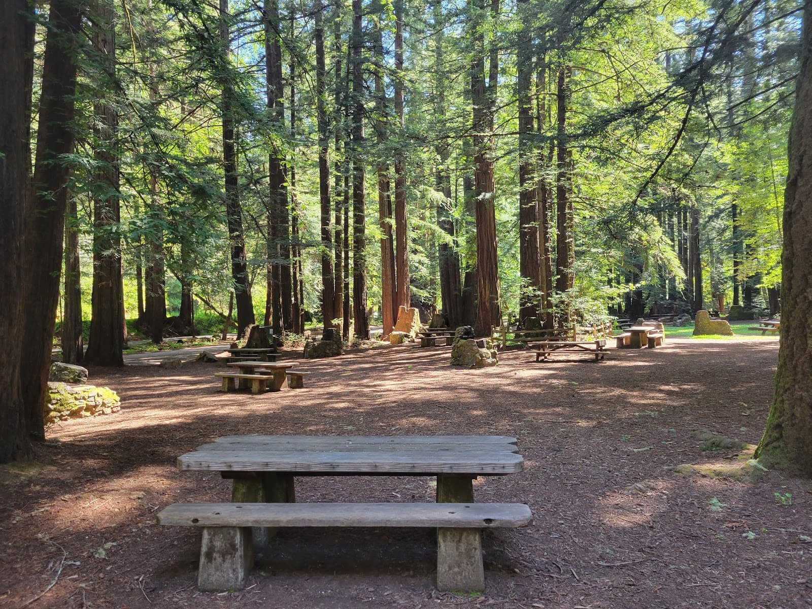 Samuel P. Taylor State Park - Image 1