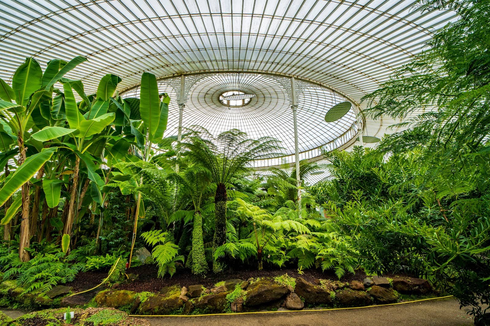 Global Plant Collections