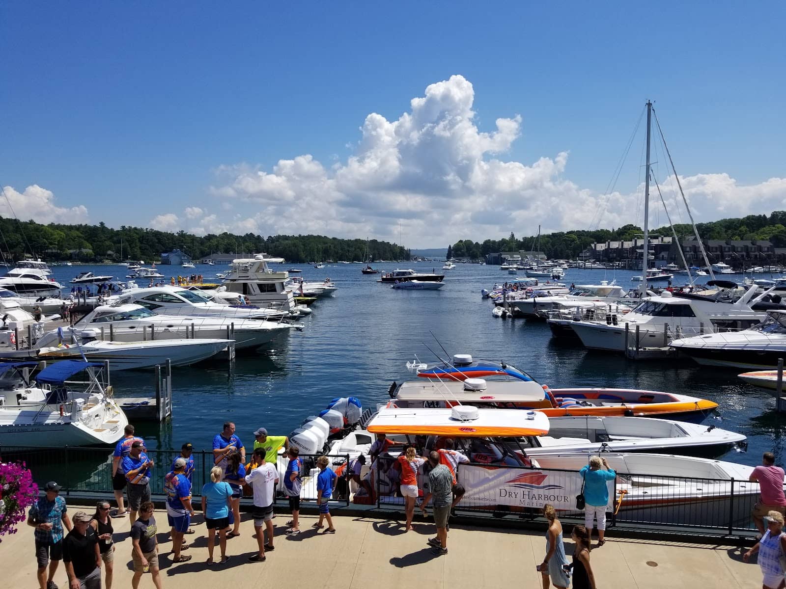 Summer Yoga Sessions