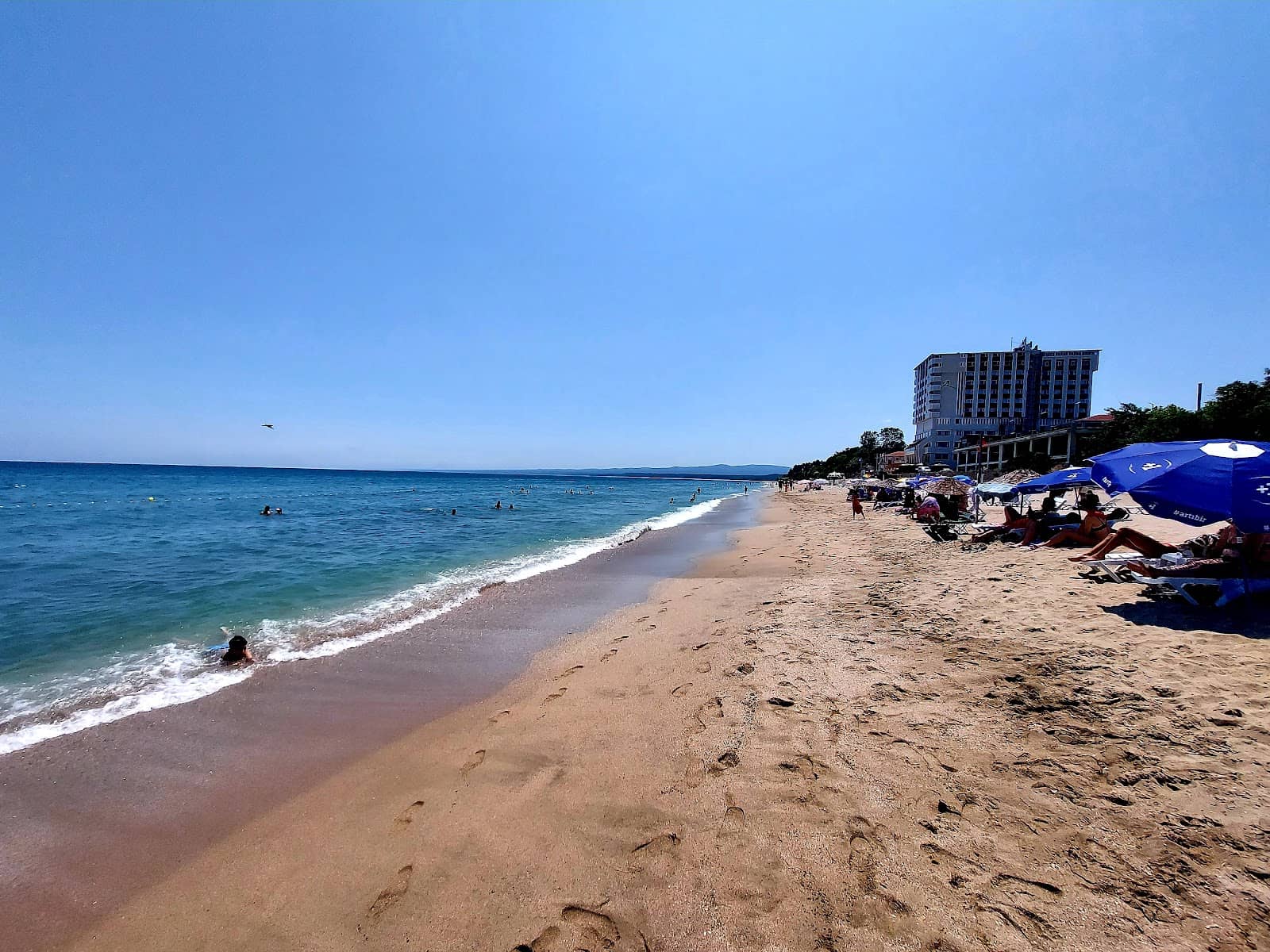 Dendrochronological Museum