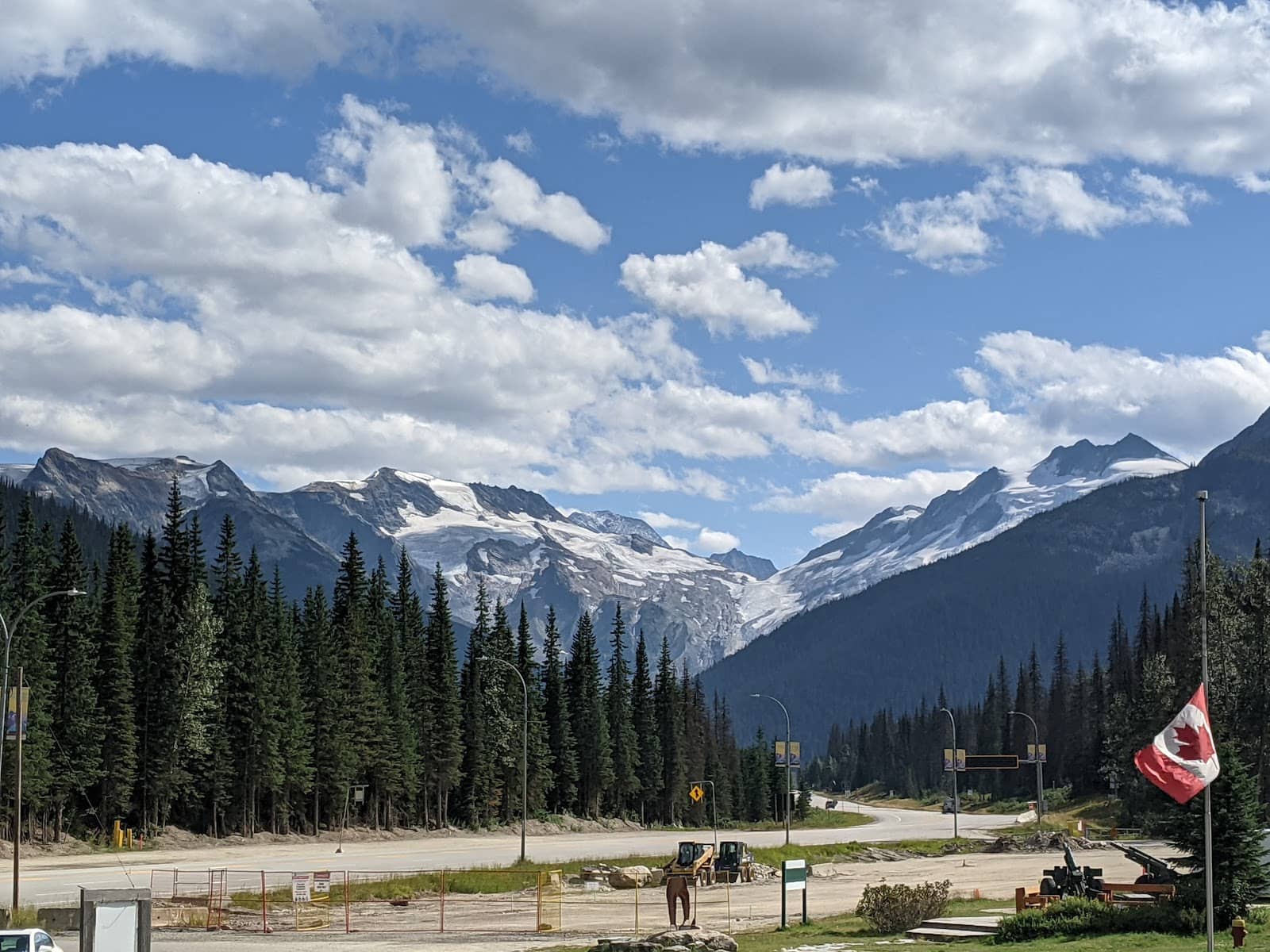 Grizzly Bear Habitat