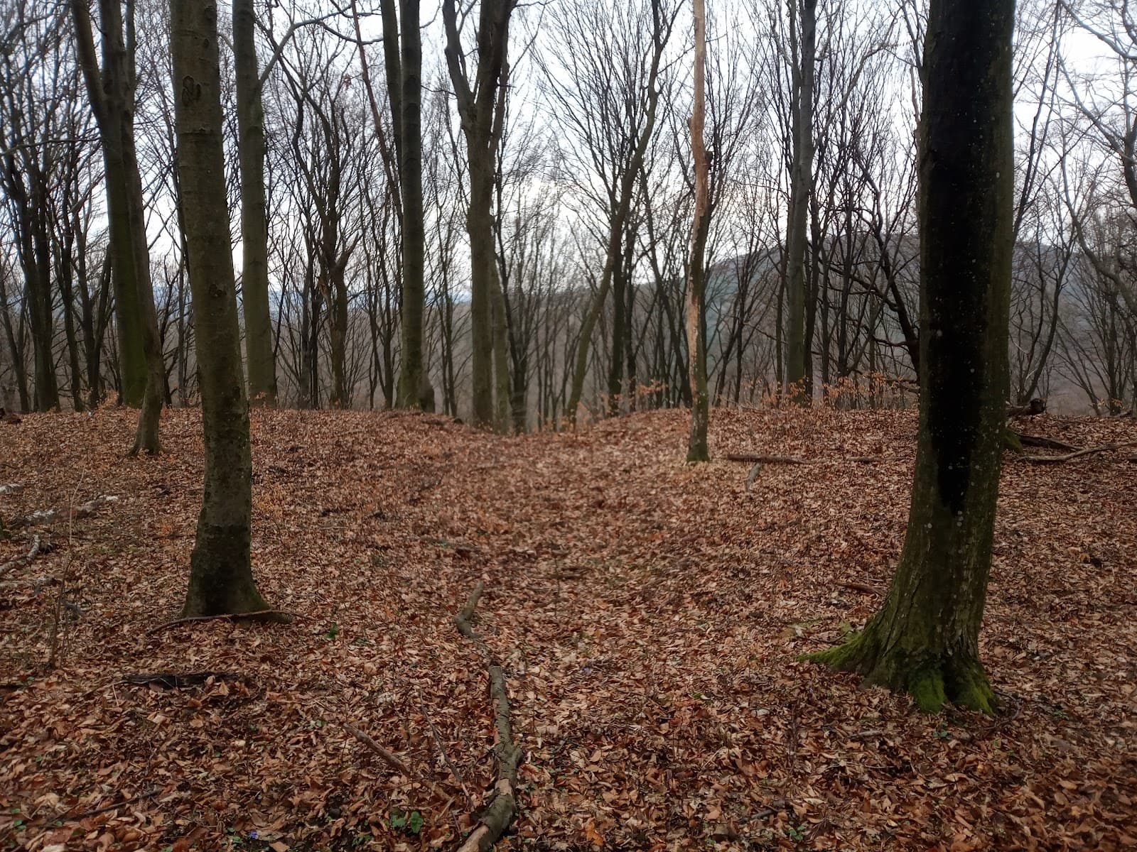 Horodyszcze Hill (Trepcza) - Image 1