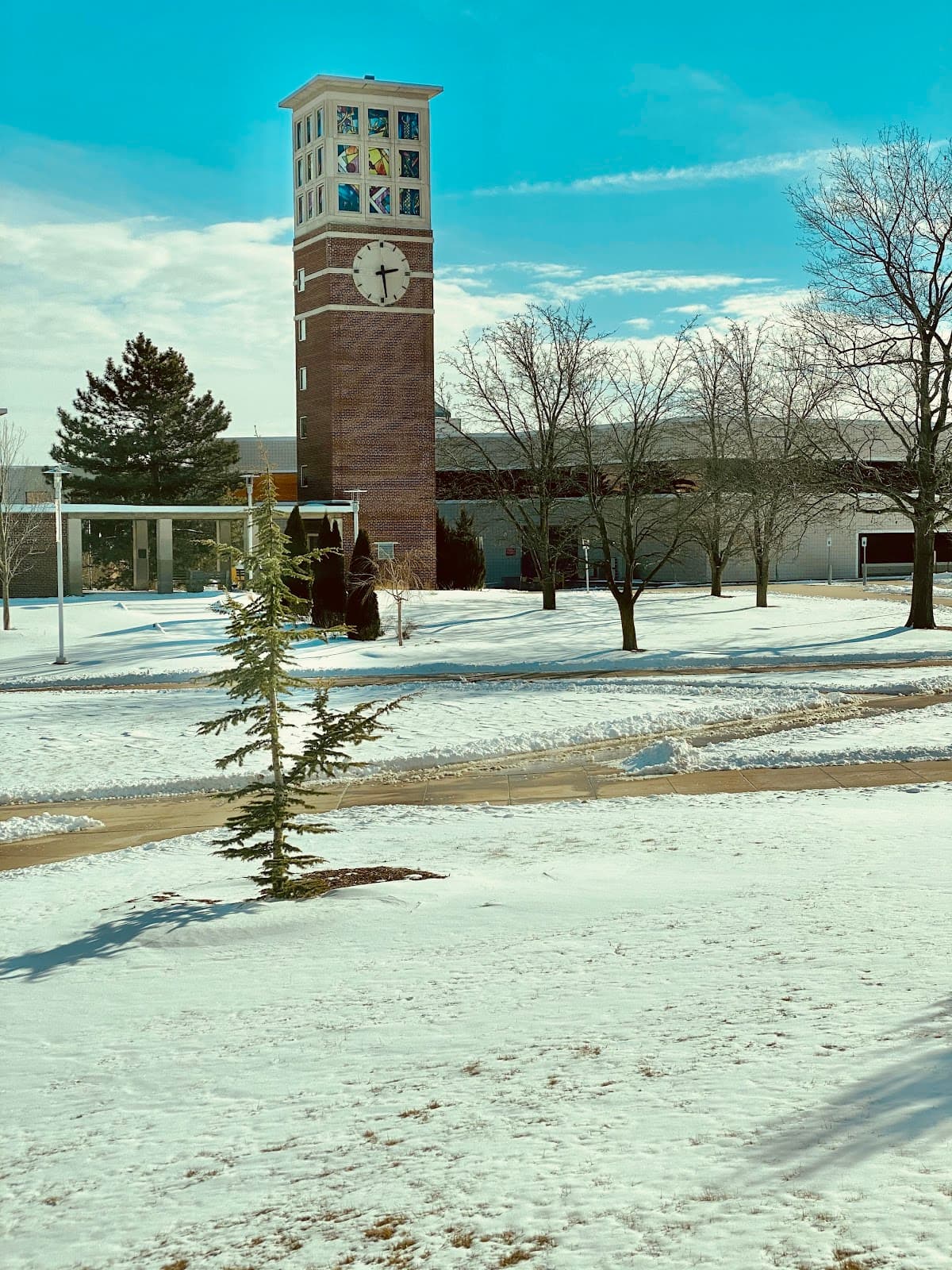 Western Michigan University - Image 1