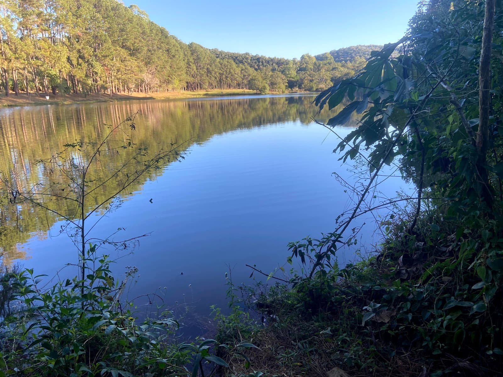 Parque Natural Municipal Pouso Alegre Minas Gerais - Image 1