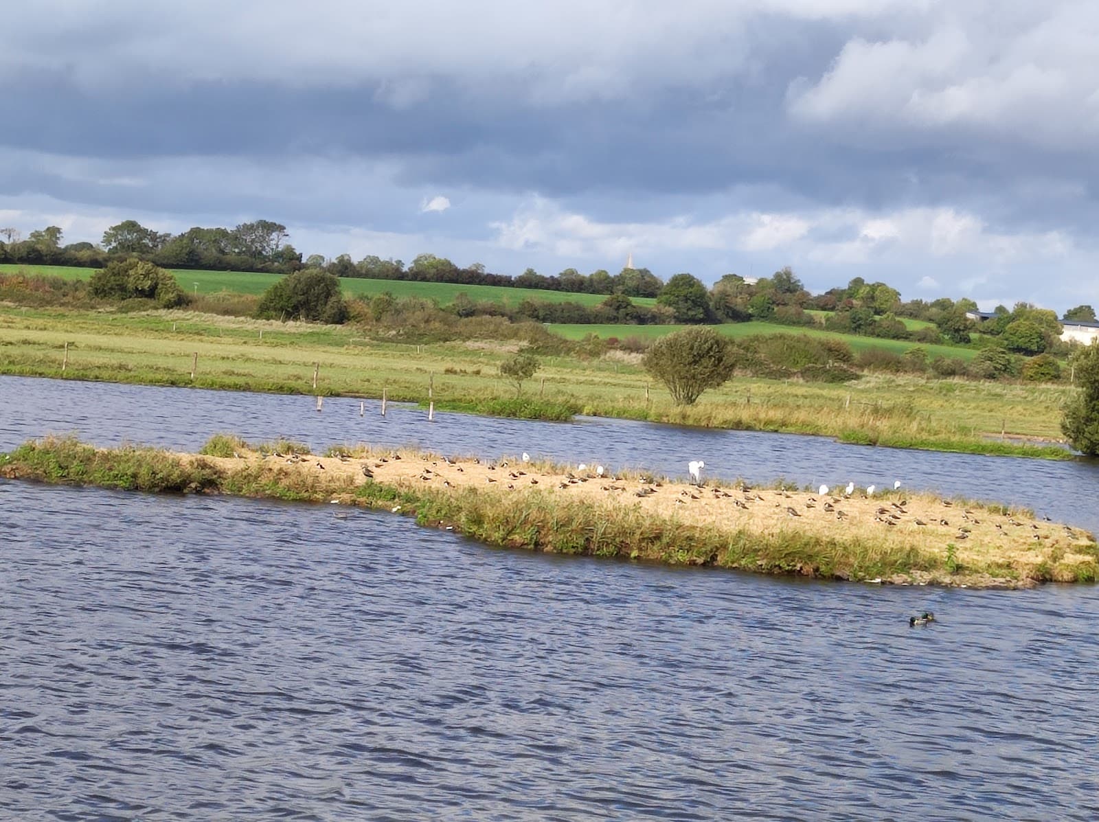 Marais des Ponts d'Ouve Nature Reserve - Image 1